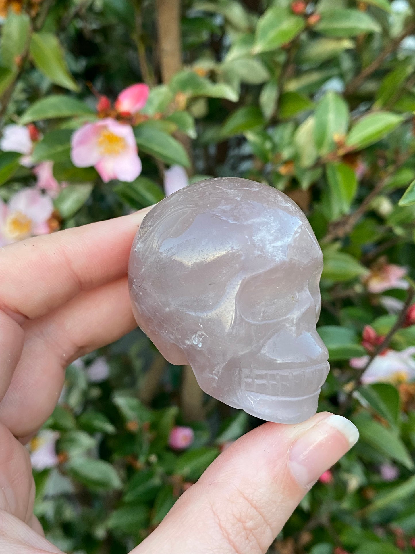 Fluorite Skull