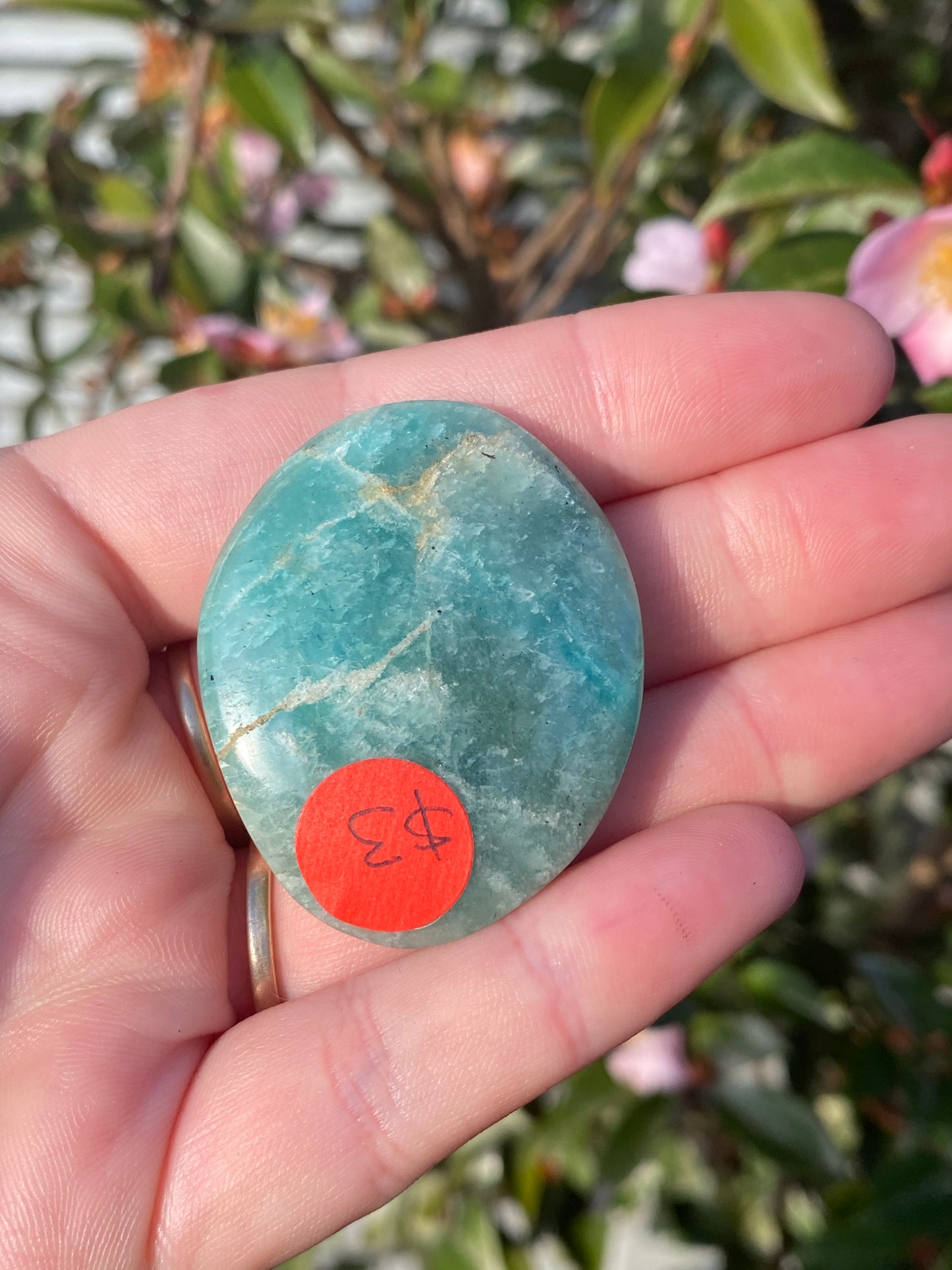 Amazonite Palm Stone - 25g