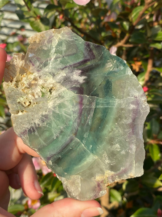 Fluorite Slab - 244g