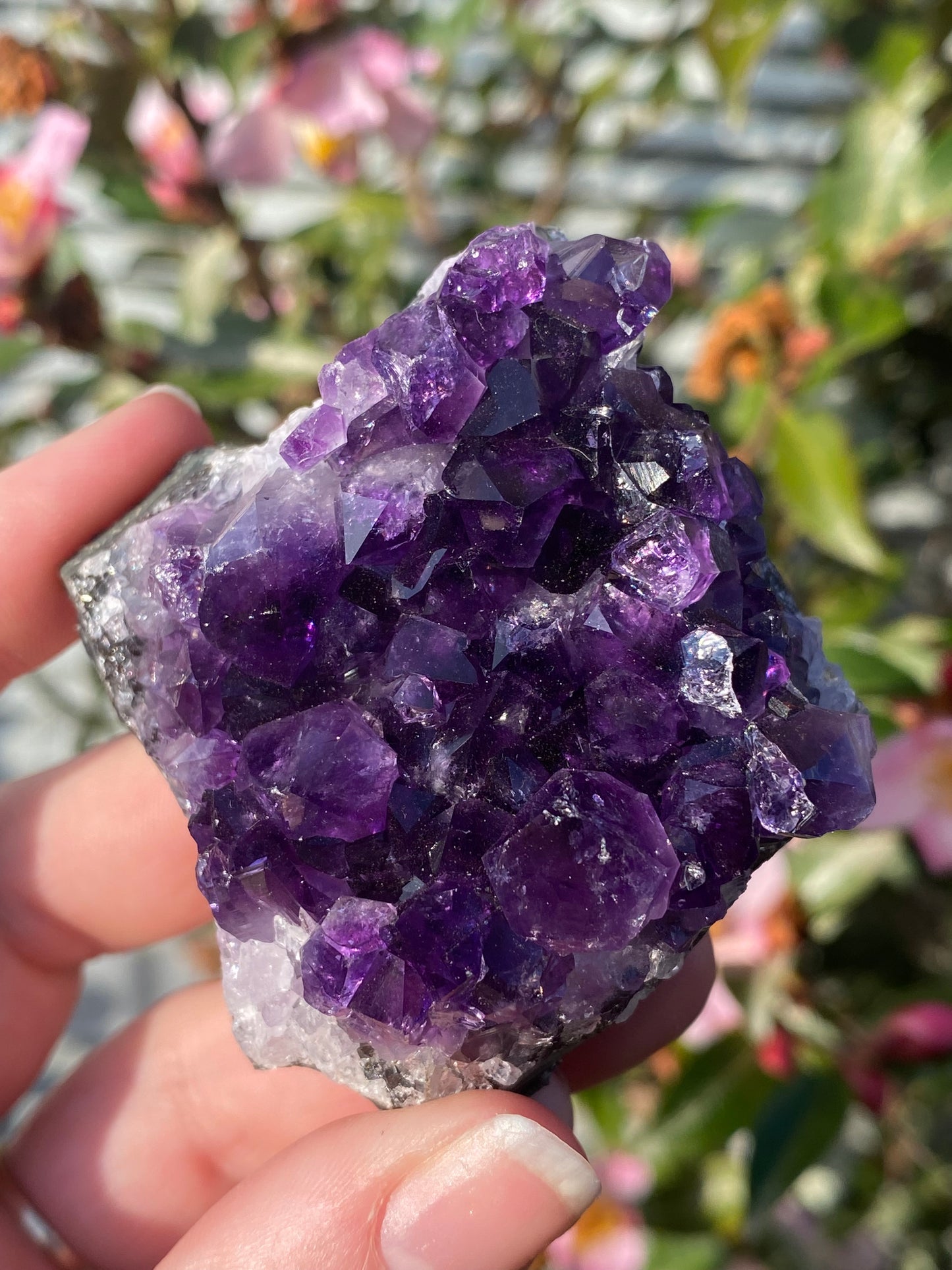 Uruguay Amethyst Cluster - 126g