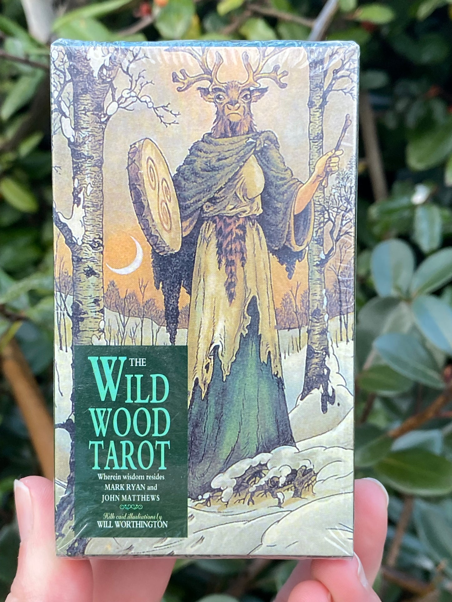 The Wild Wood Tarot