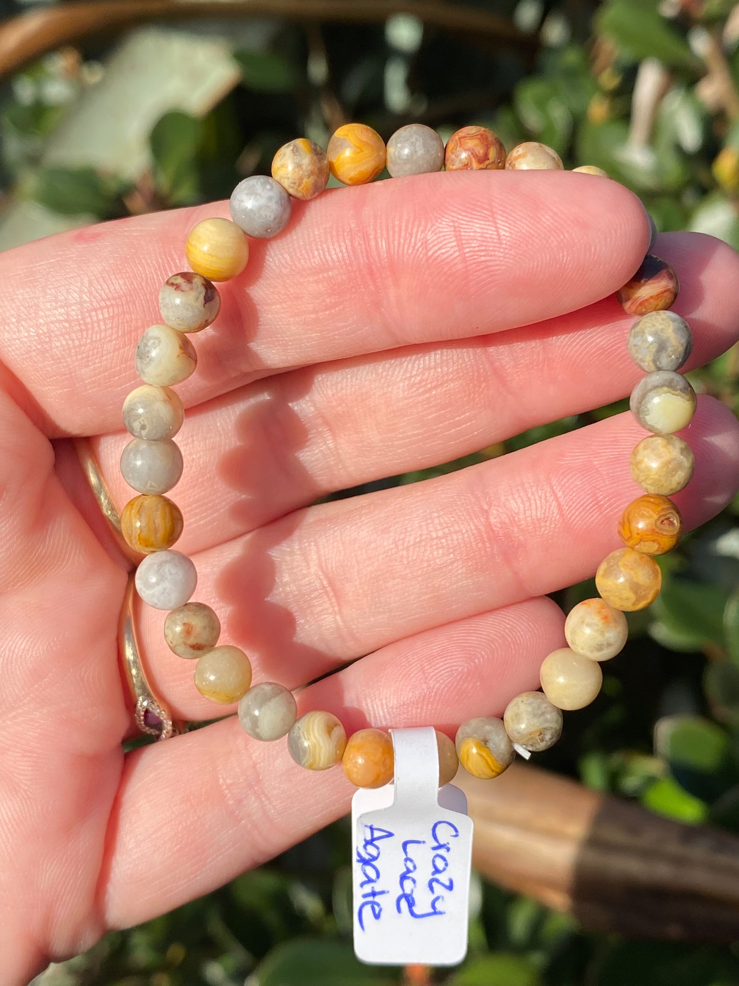 Crazy Lace Agate 6mm Bracelet