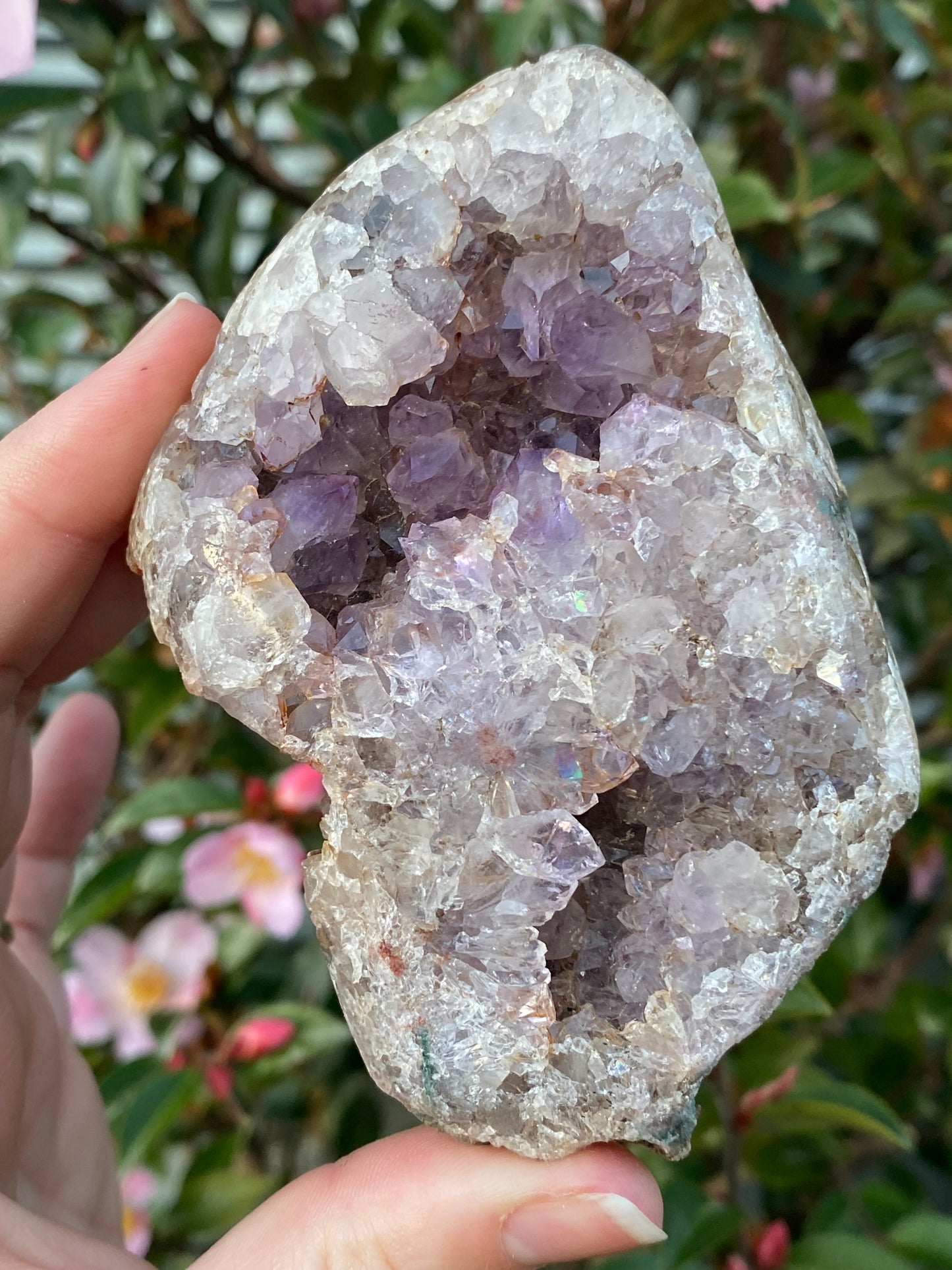 Pink Amethyst Cluster in Base