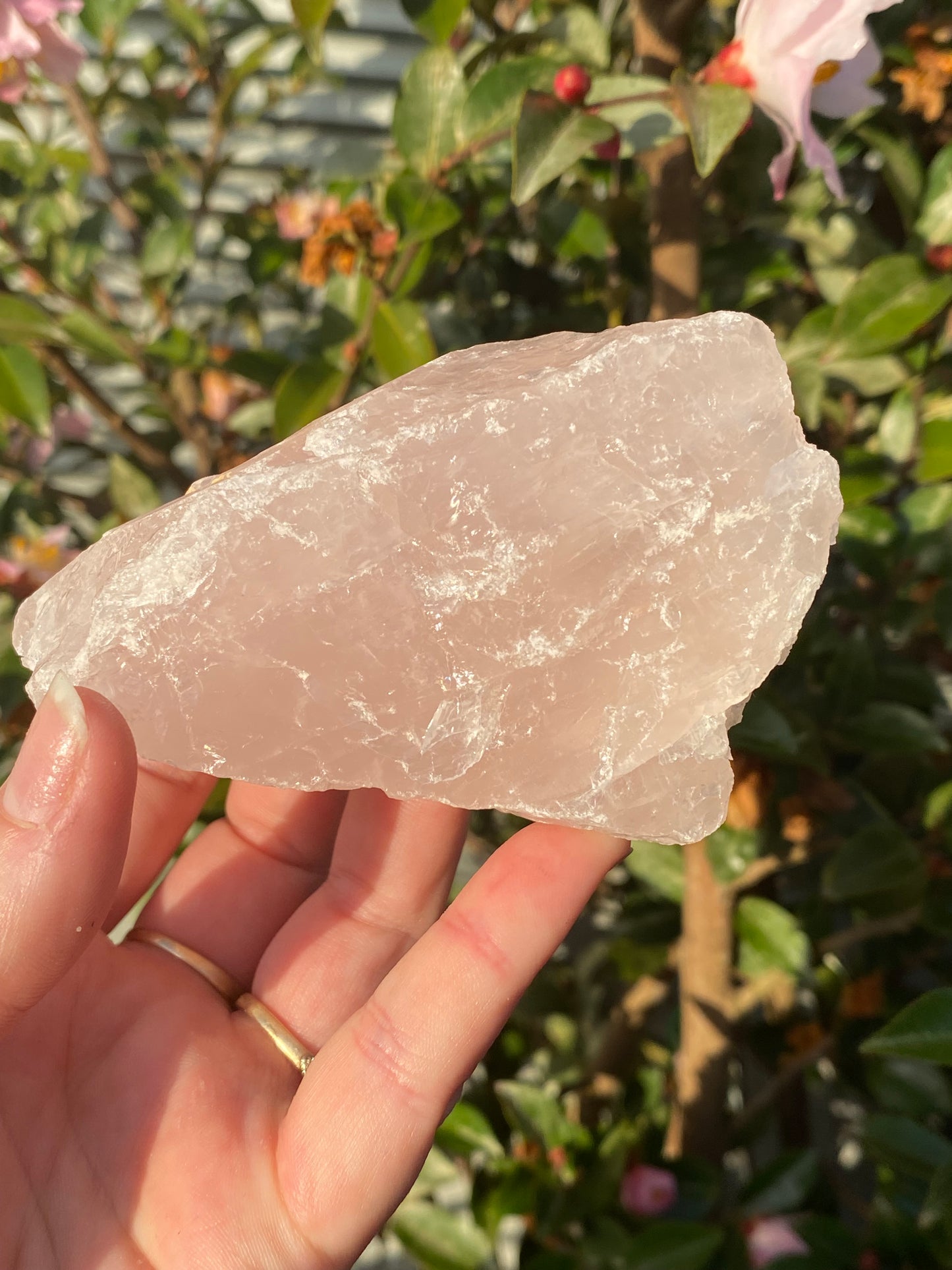 Raw Rose Quartz - 276g