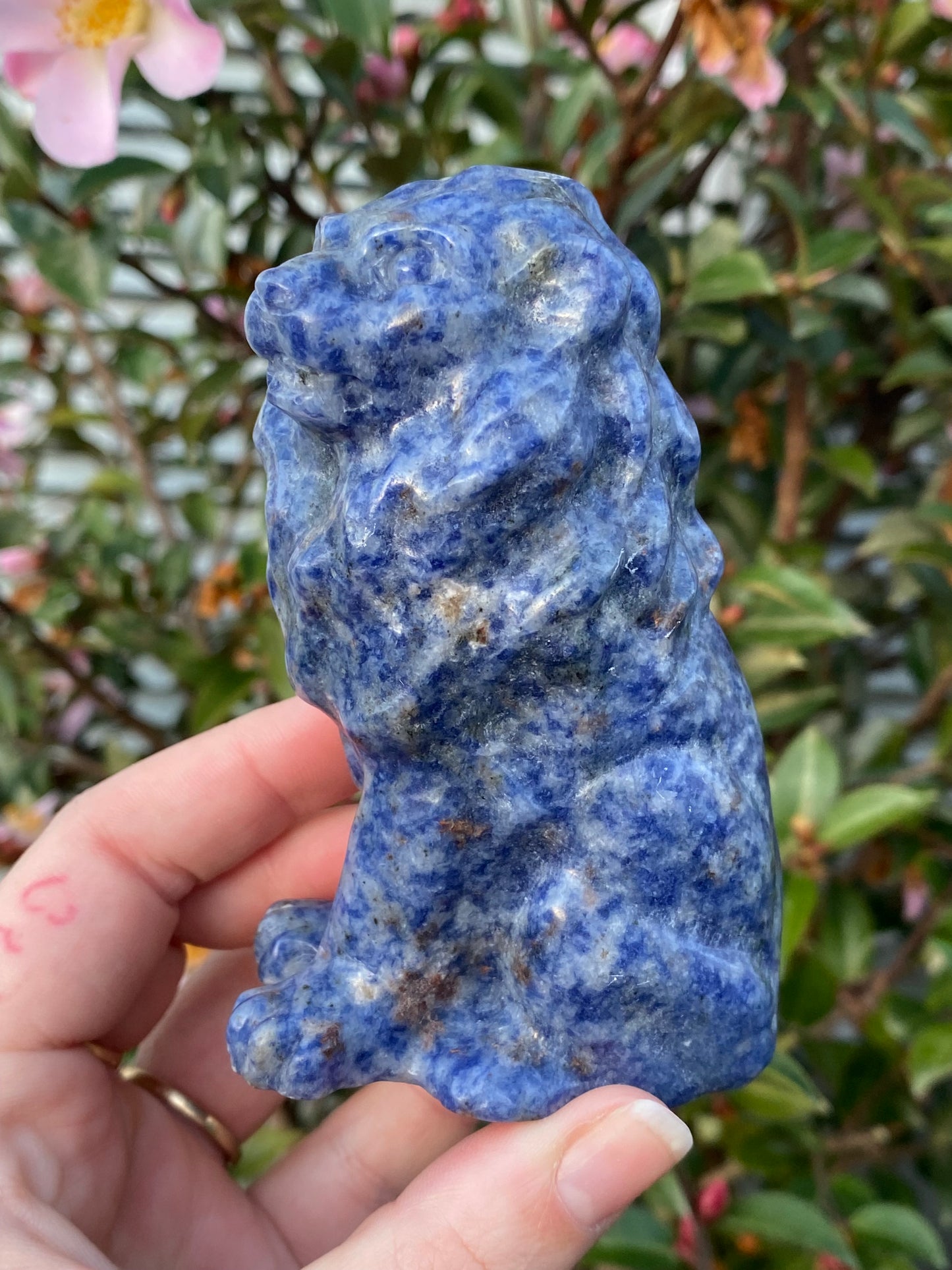 CLEARANCE - Blue Dot Jasper Lion