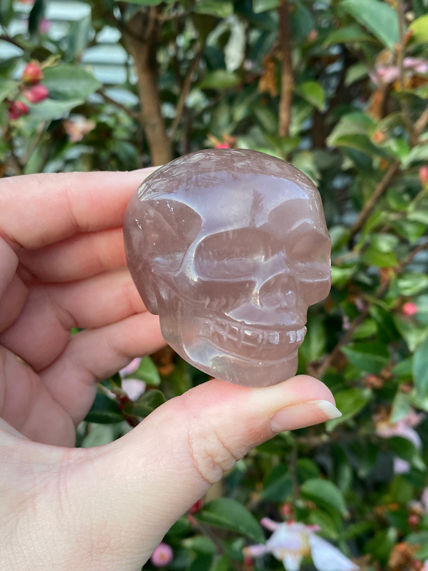 Fluorite Skull