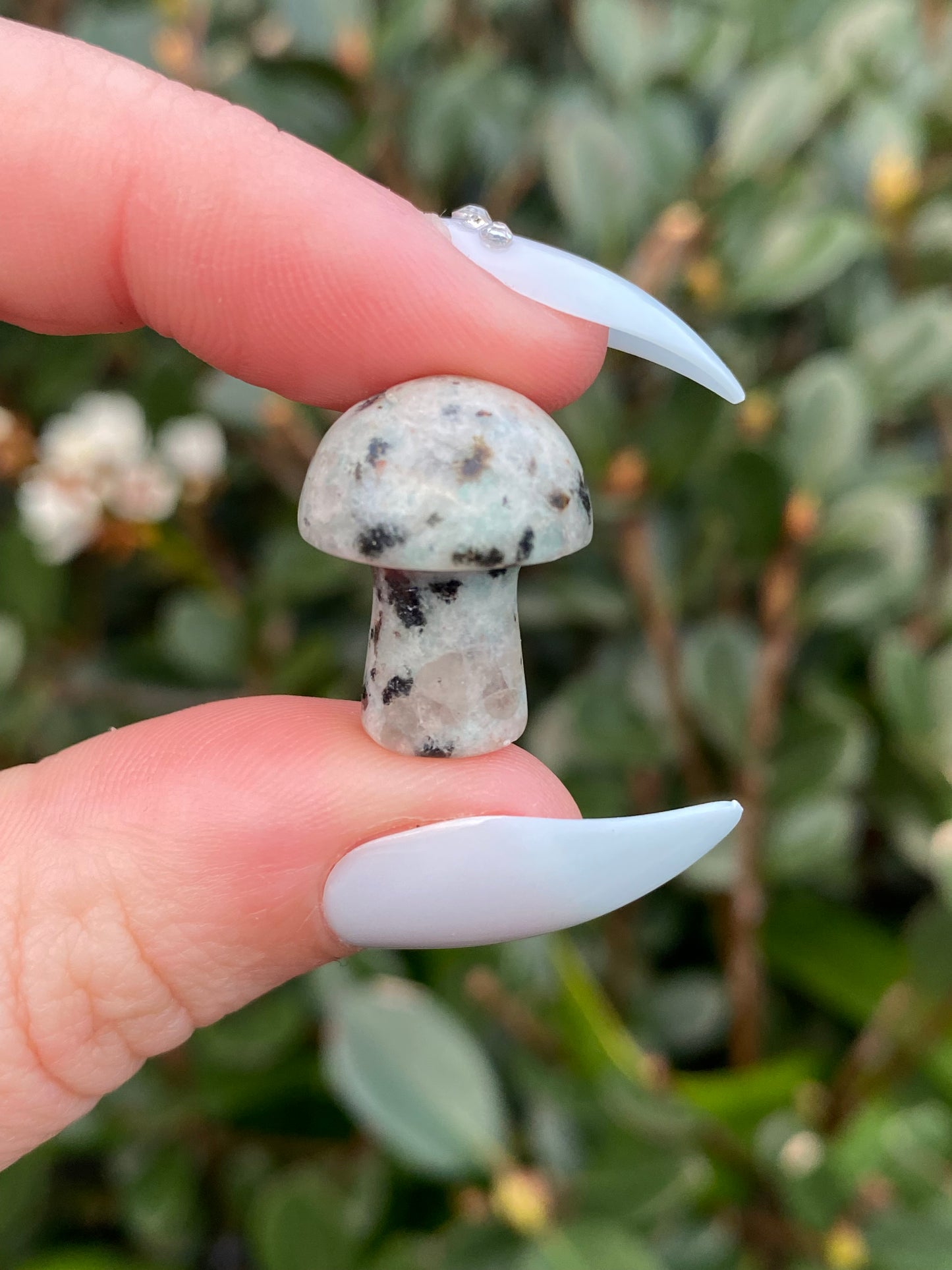 Mini Mushrooms - Each