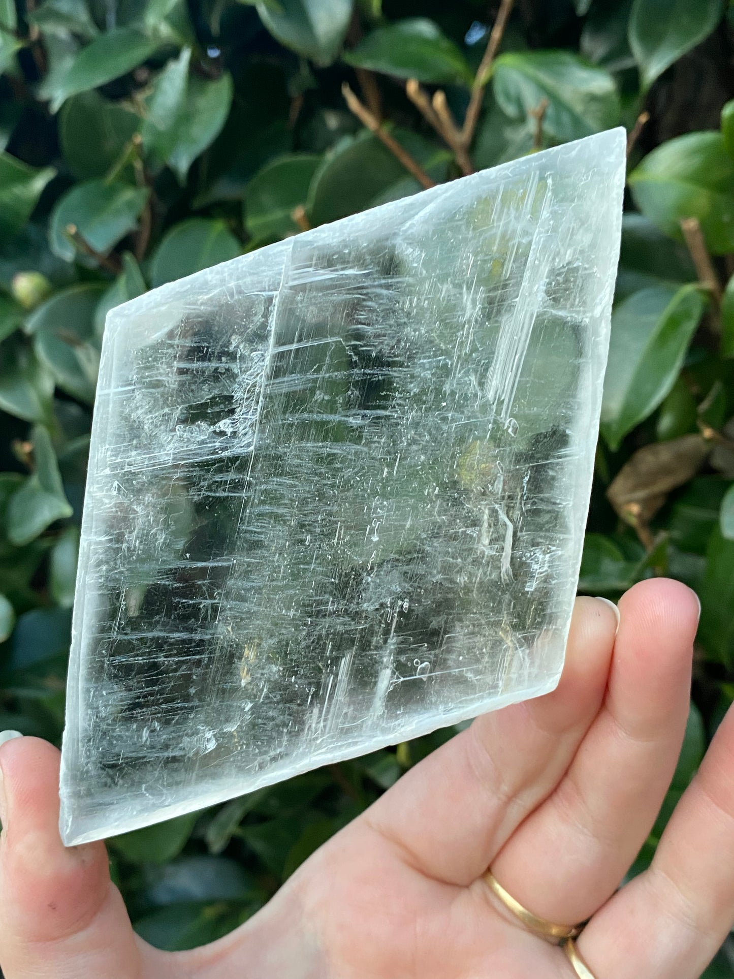 CLEARANCE - Natural Selenite Window