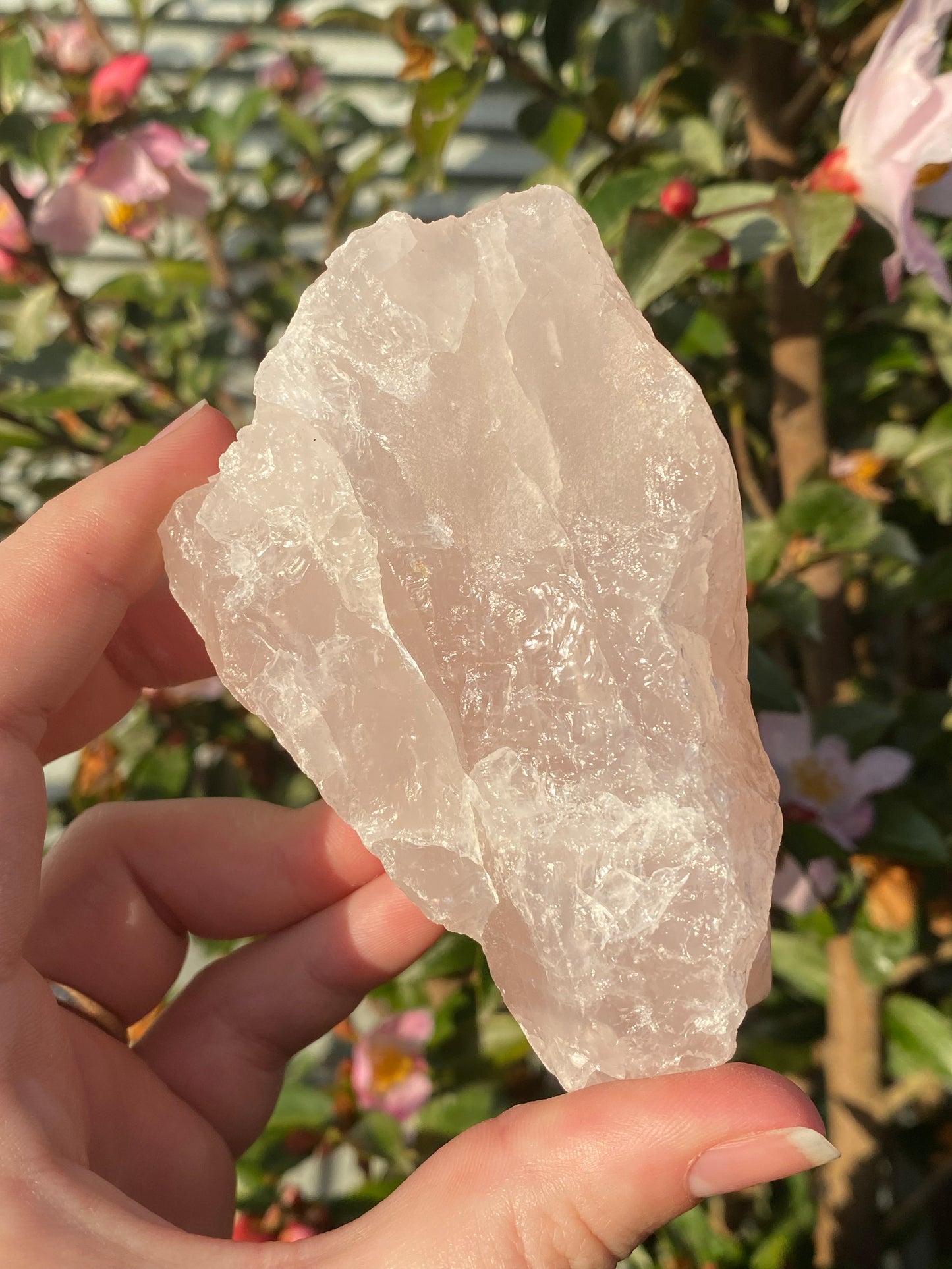 Raw Rose Quartz - 276g