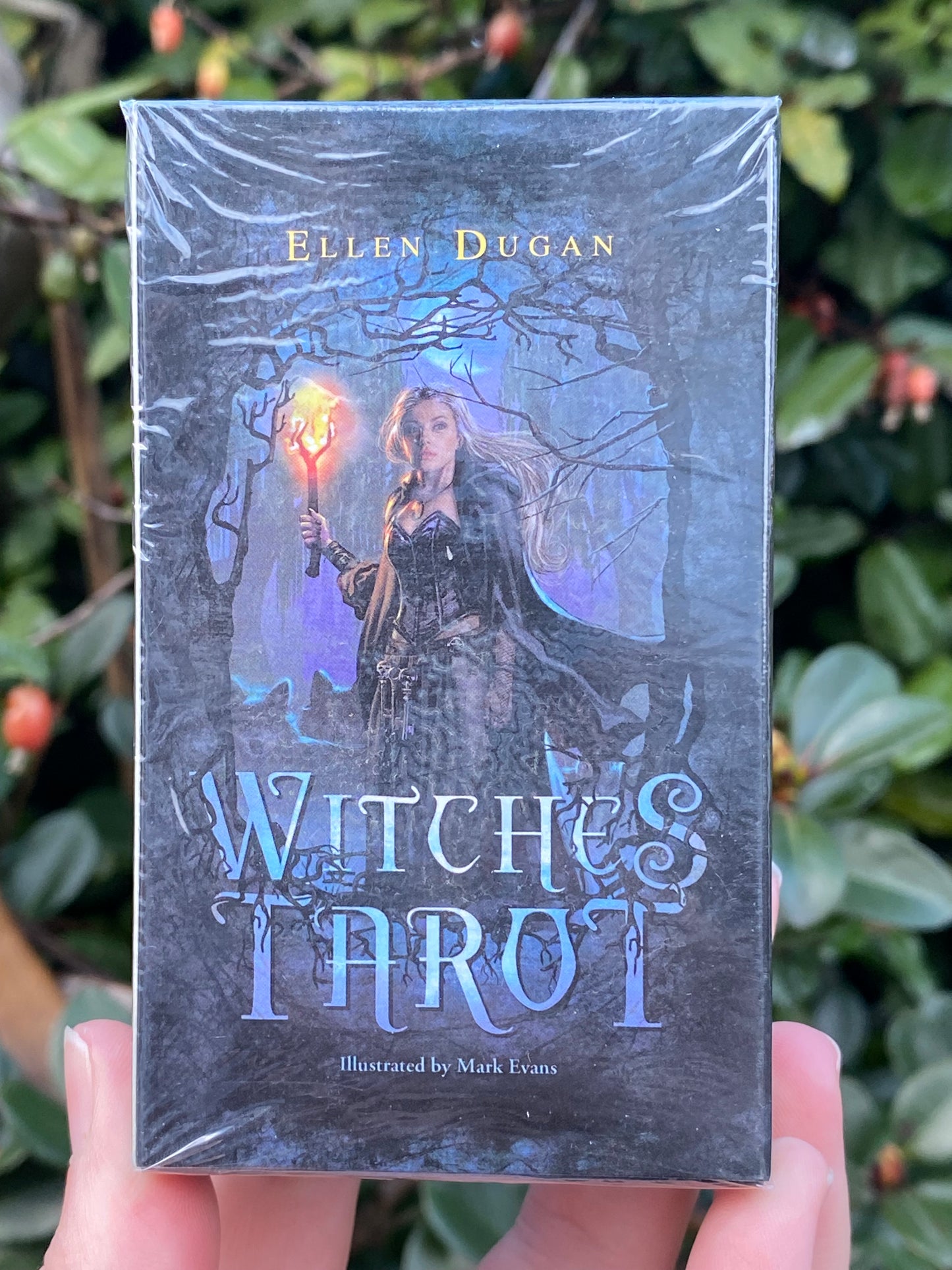 Witches Tarot