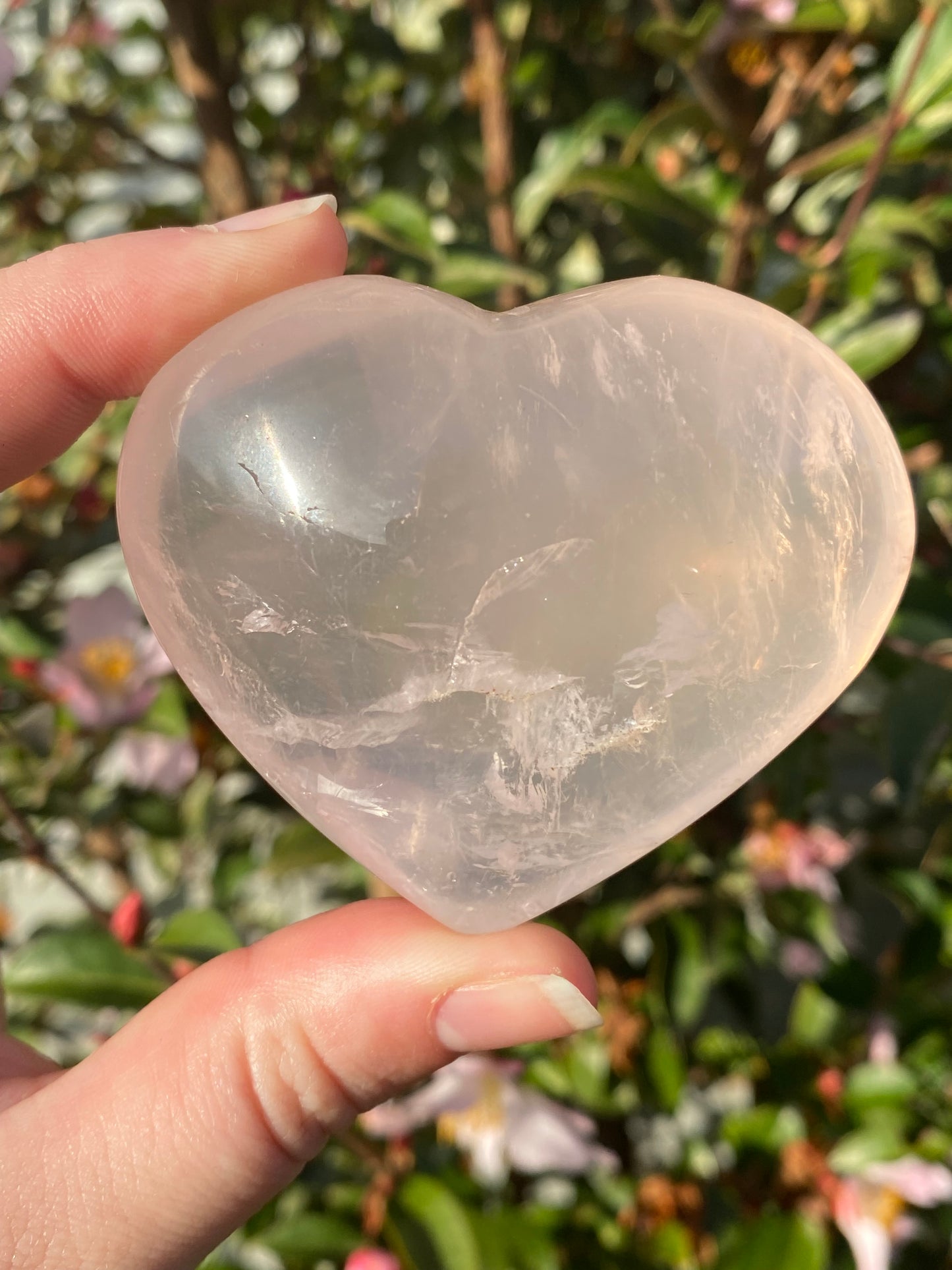 Rose Quartz Heart - 166g