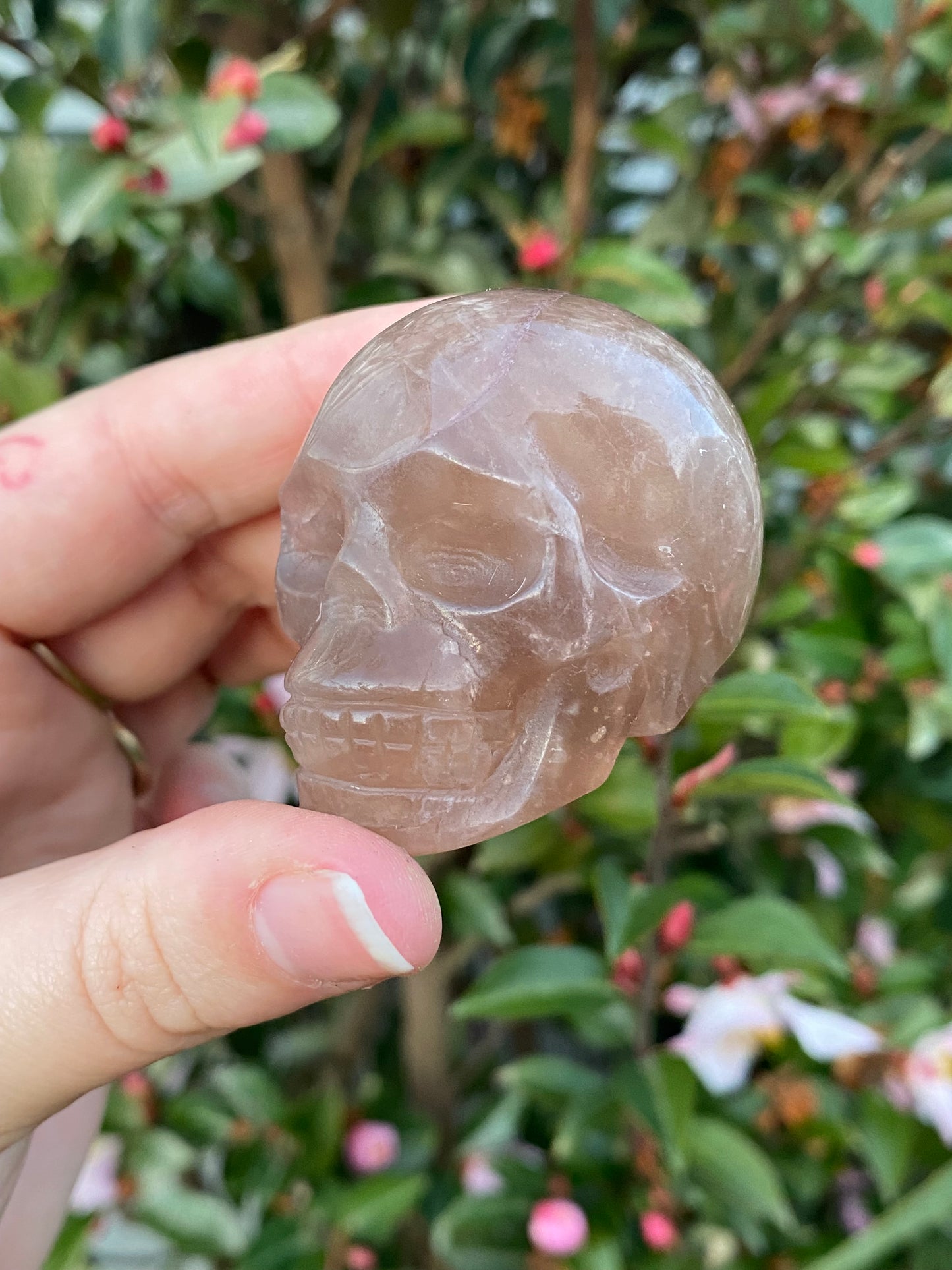 Fluorite Skull