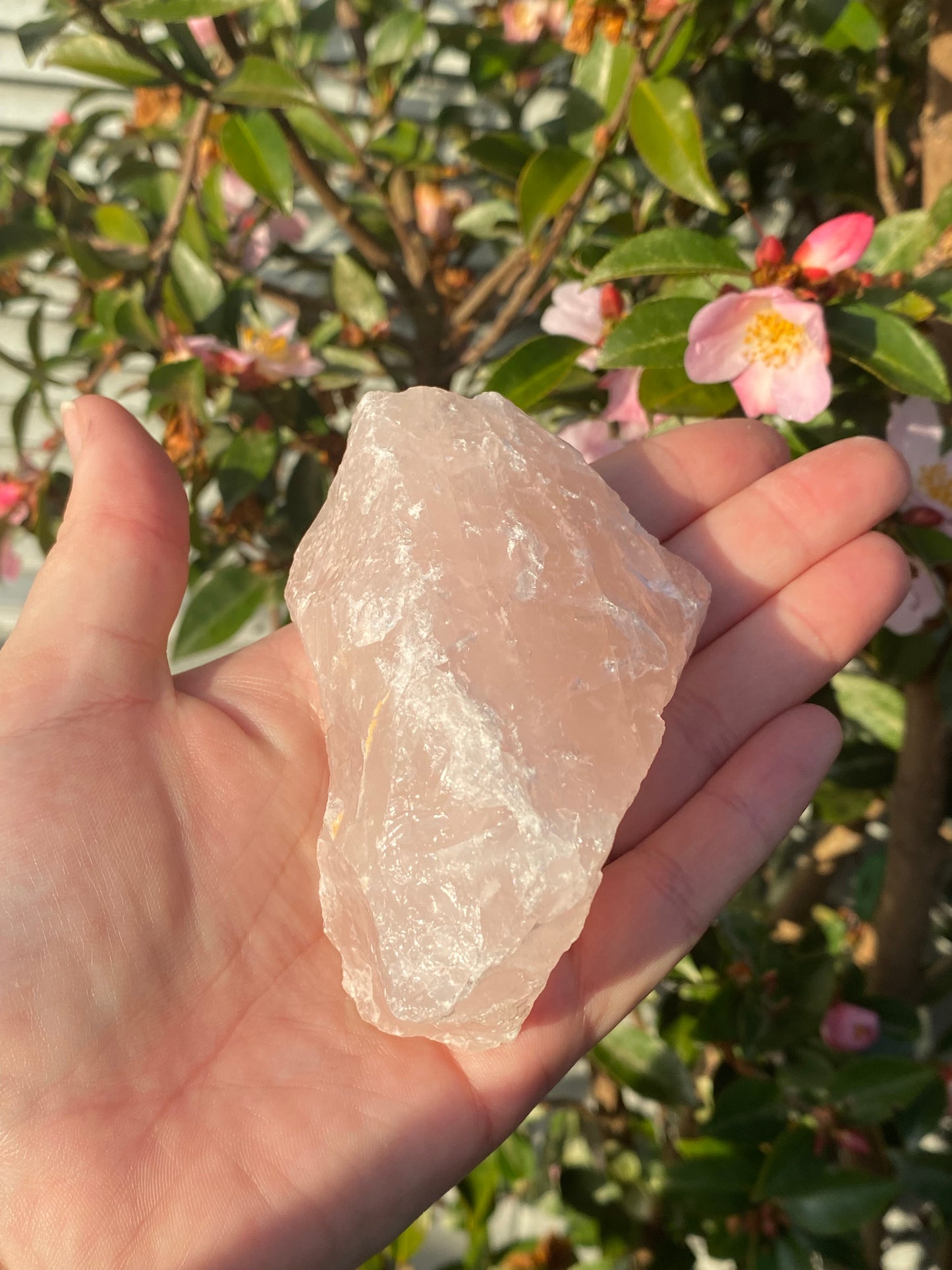 Raw Rose Quartz - 276g