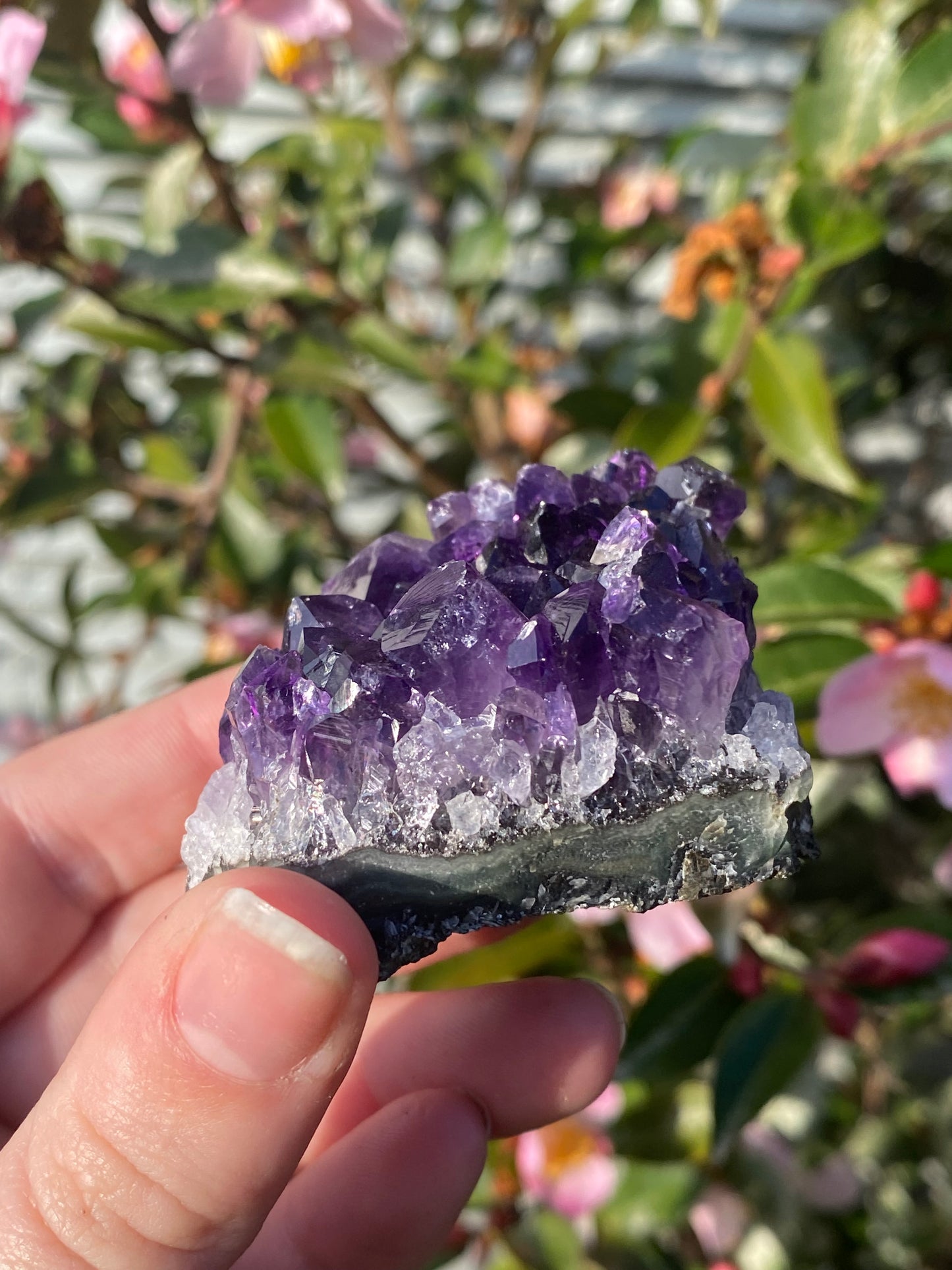 Uruguay Amethyst Cluster - 126g