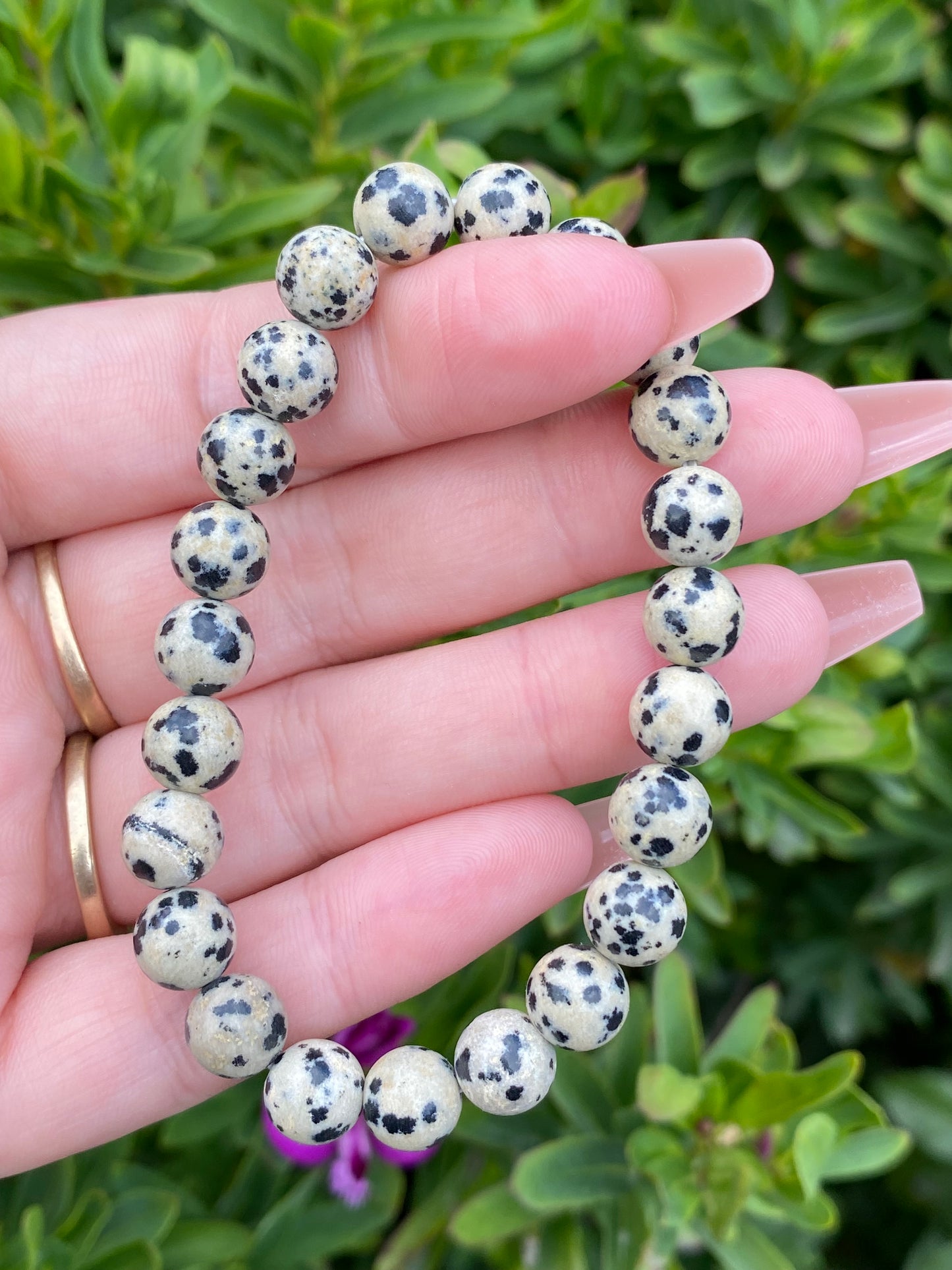 Dalmatian Jasper 8mm Bracelet