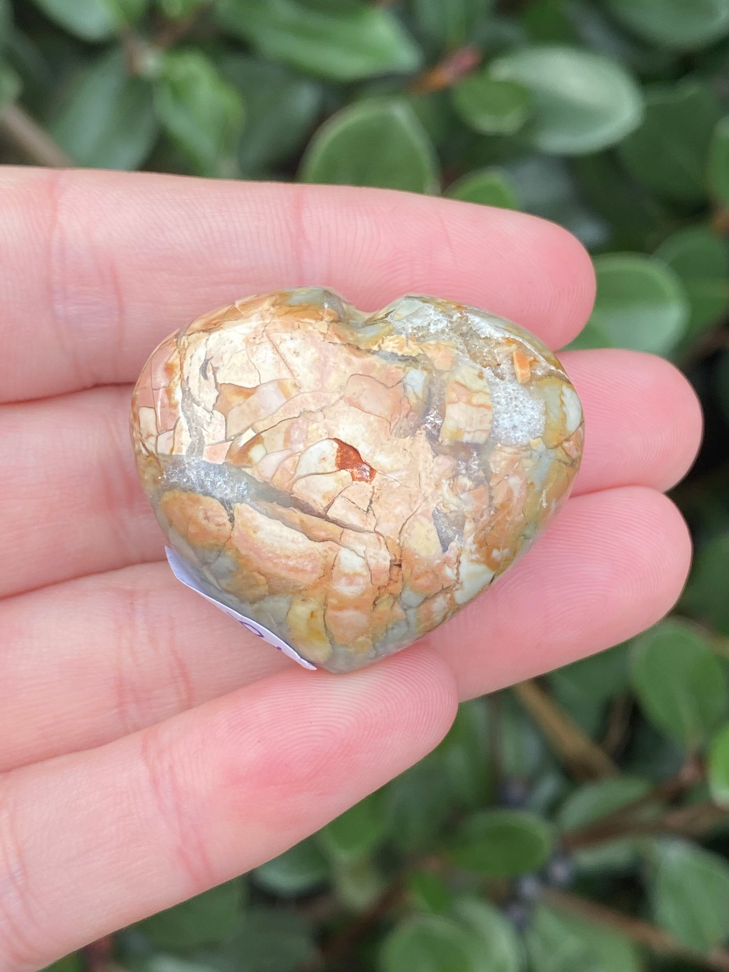 Ibis Jasper Heart - 26g