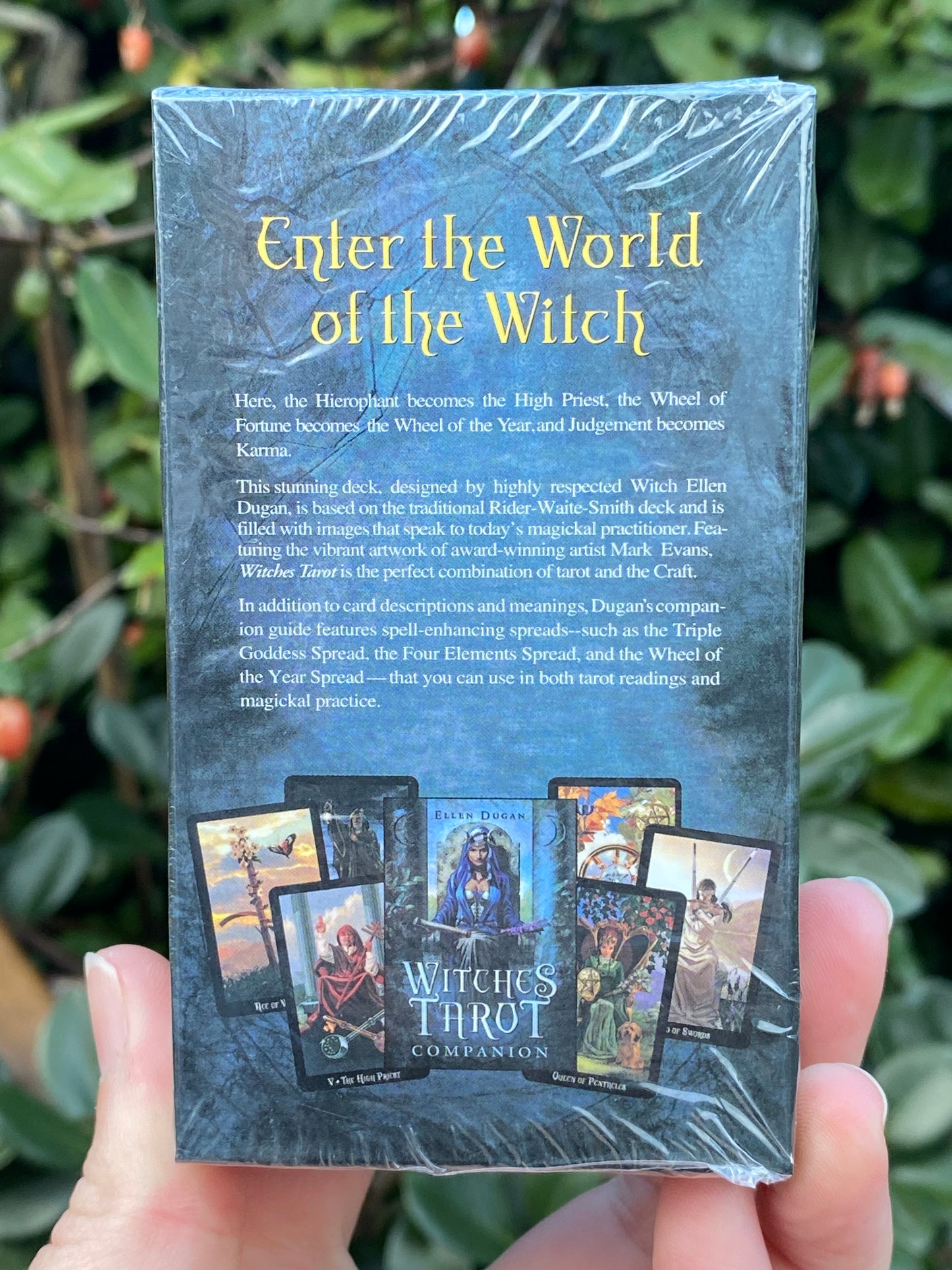 Witches Tarot