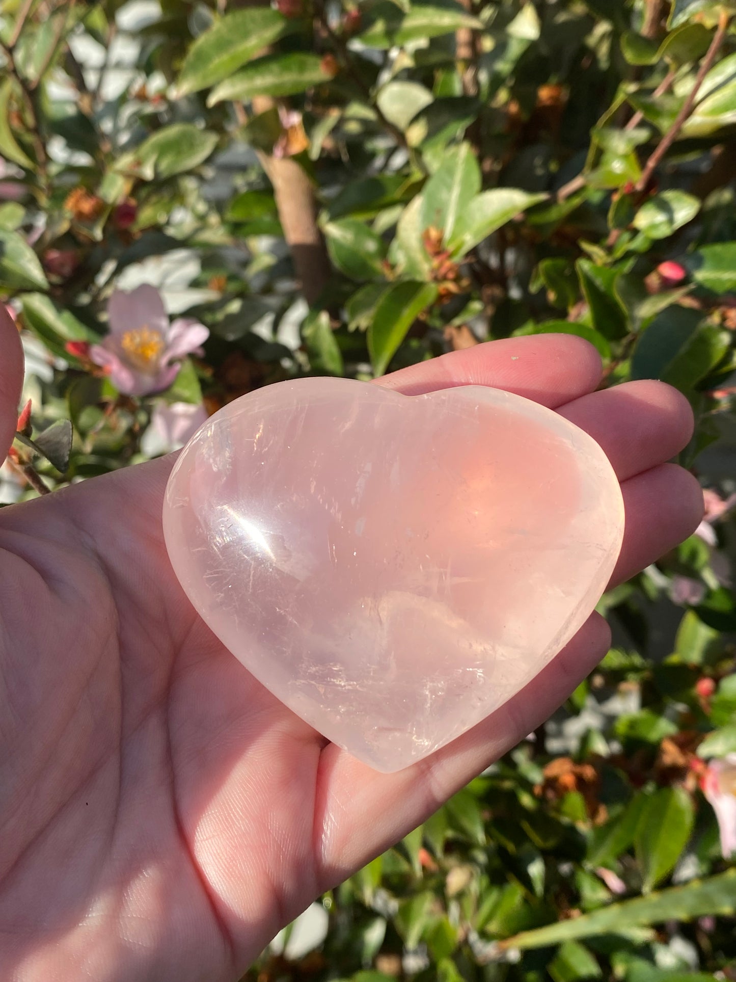 Rose Quartz Heart - 166g