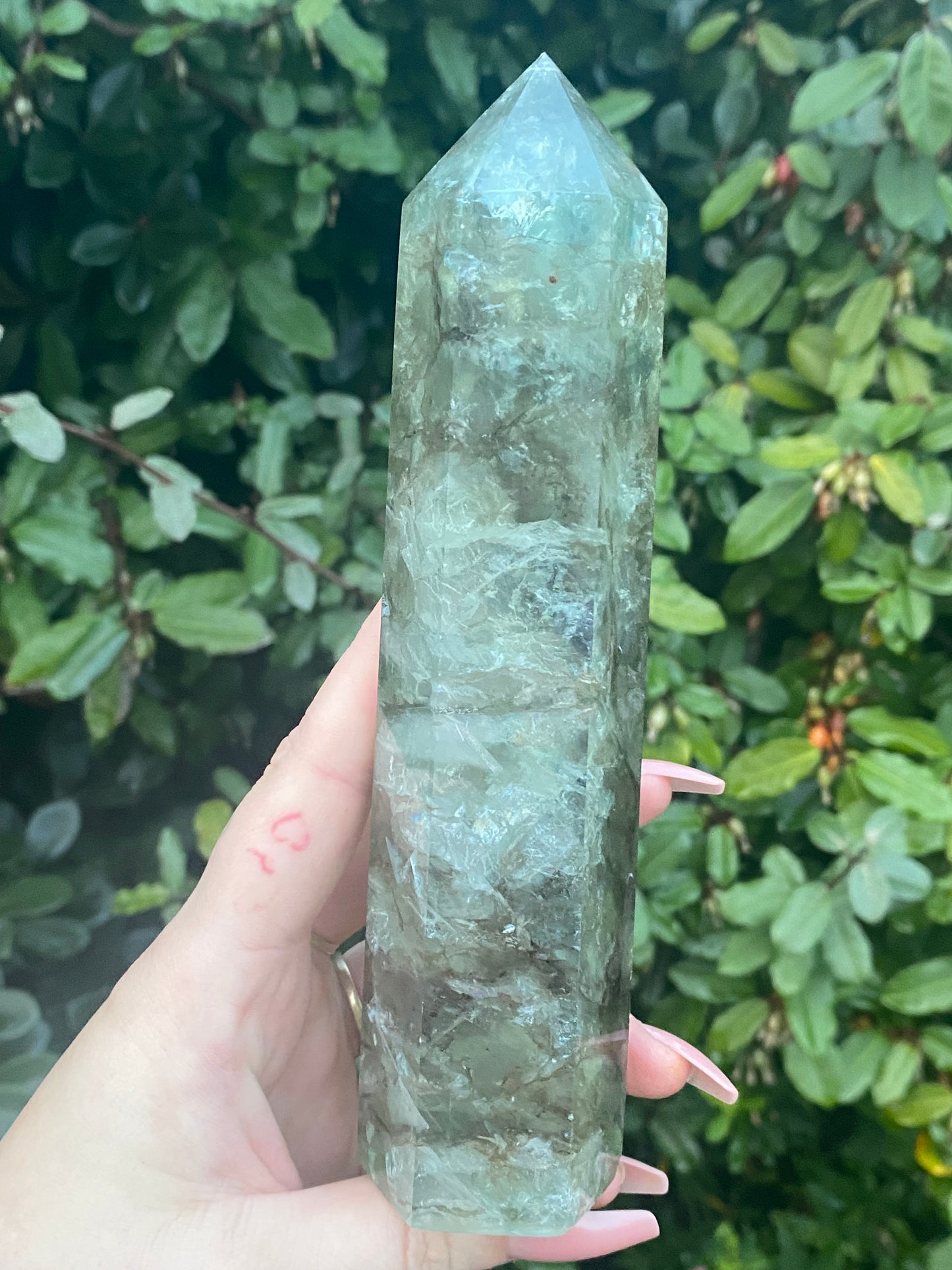 Kelp Fluorite Tower - 658g