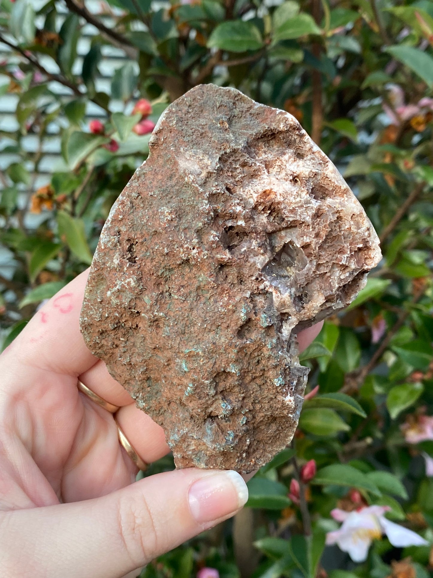 Pink Amethyst Cluster in Base