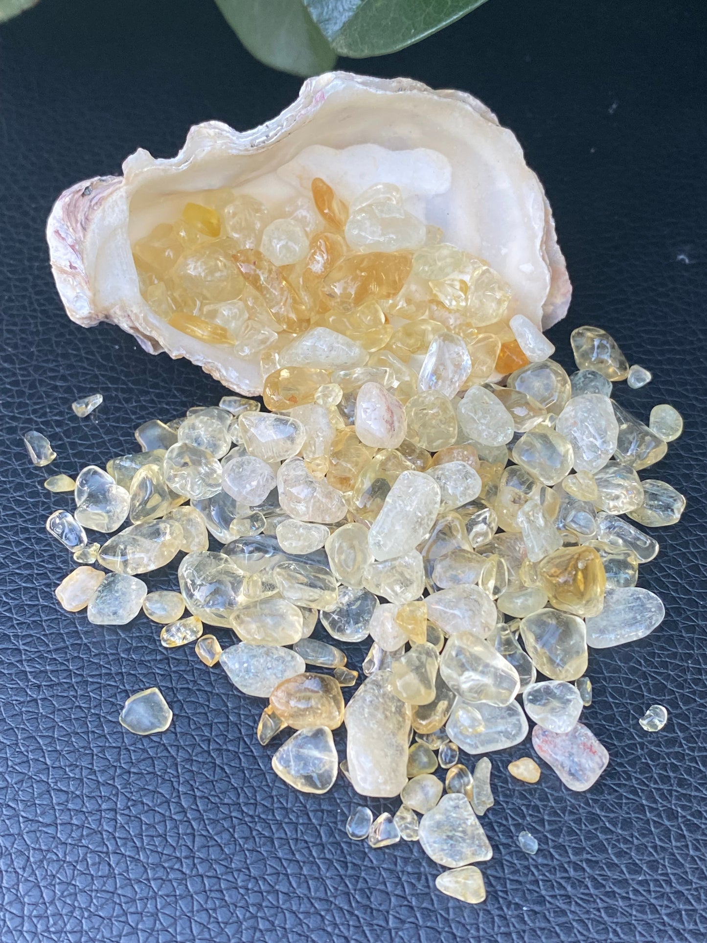 Citrine Chips