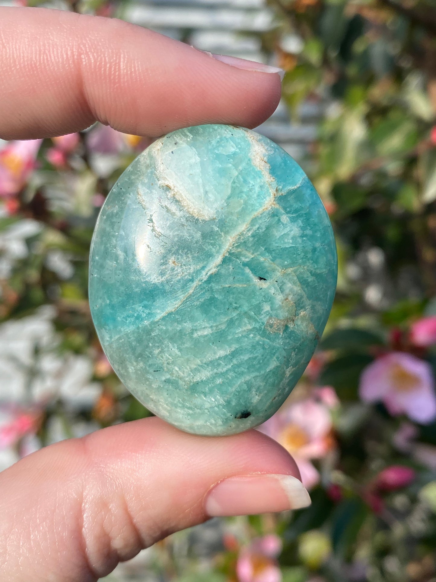 Amazonite Palm Stone - 25g