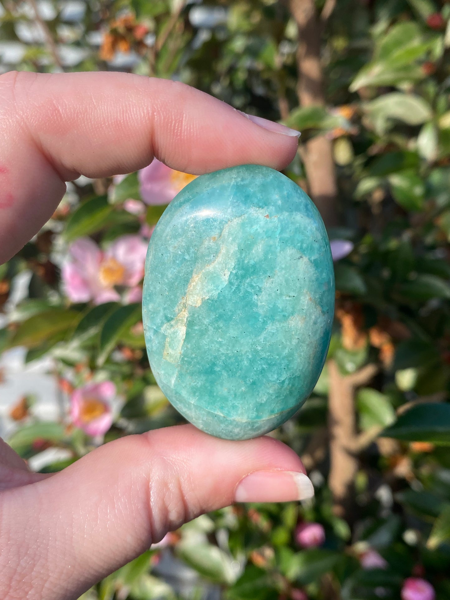 Amazonite Palm Stone - 48g