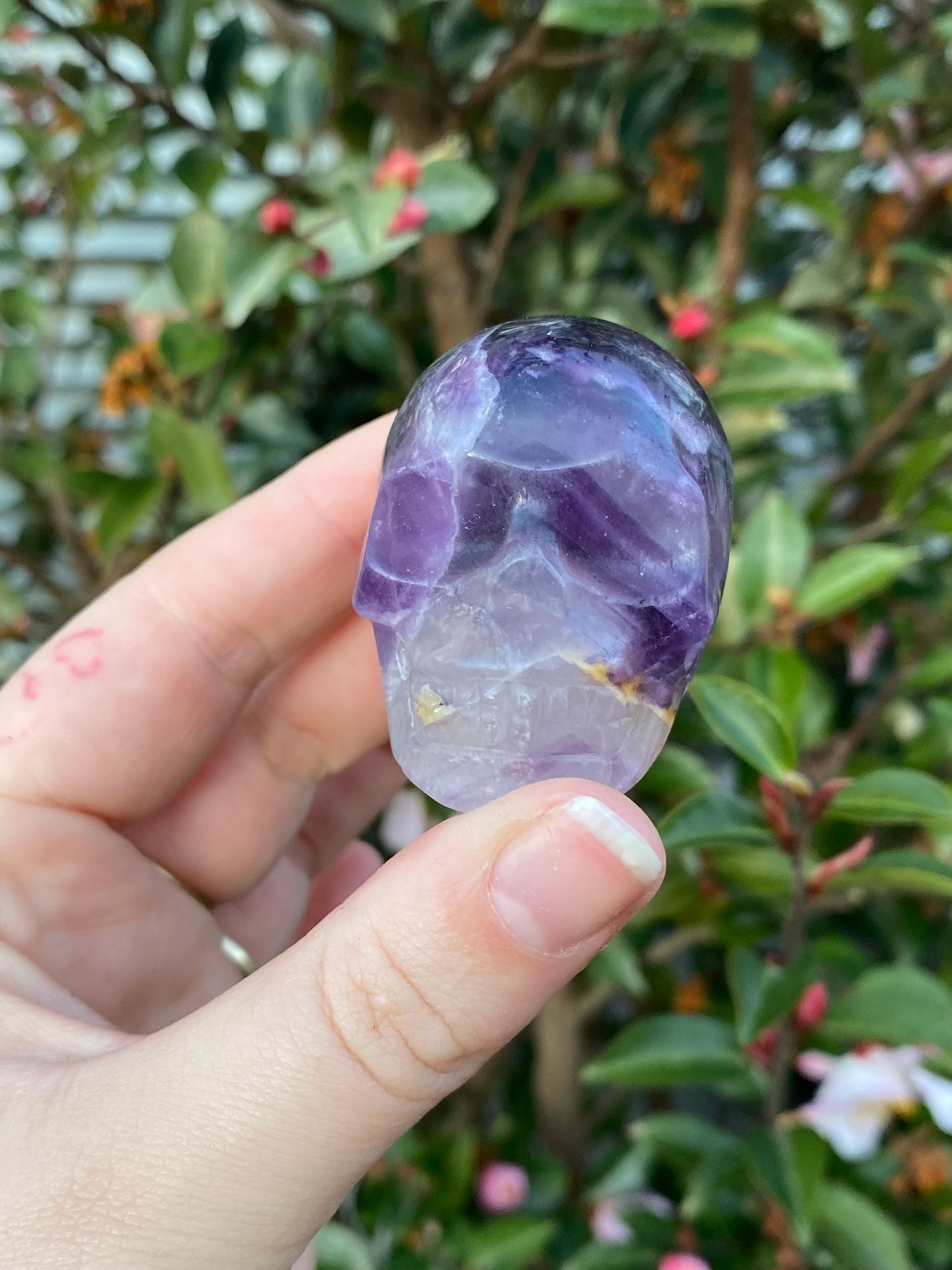 Fluorite Skull