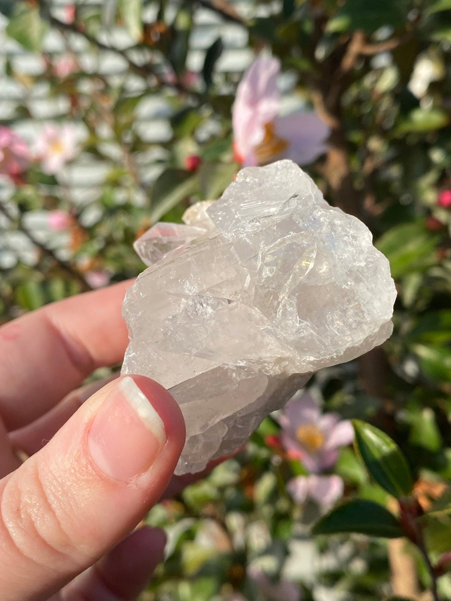 Clear Quartz Cluster - 157g