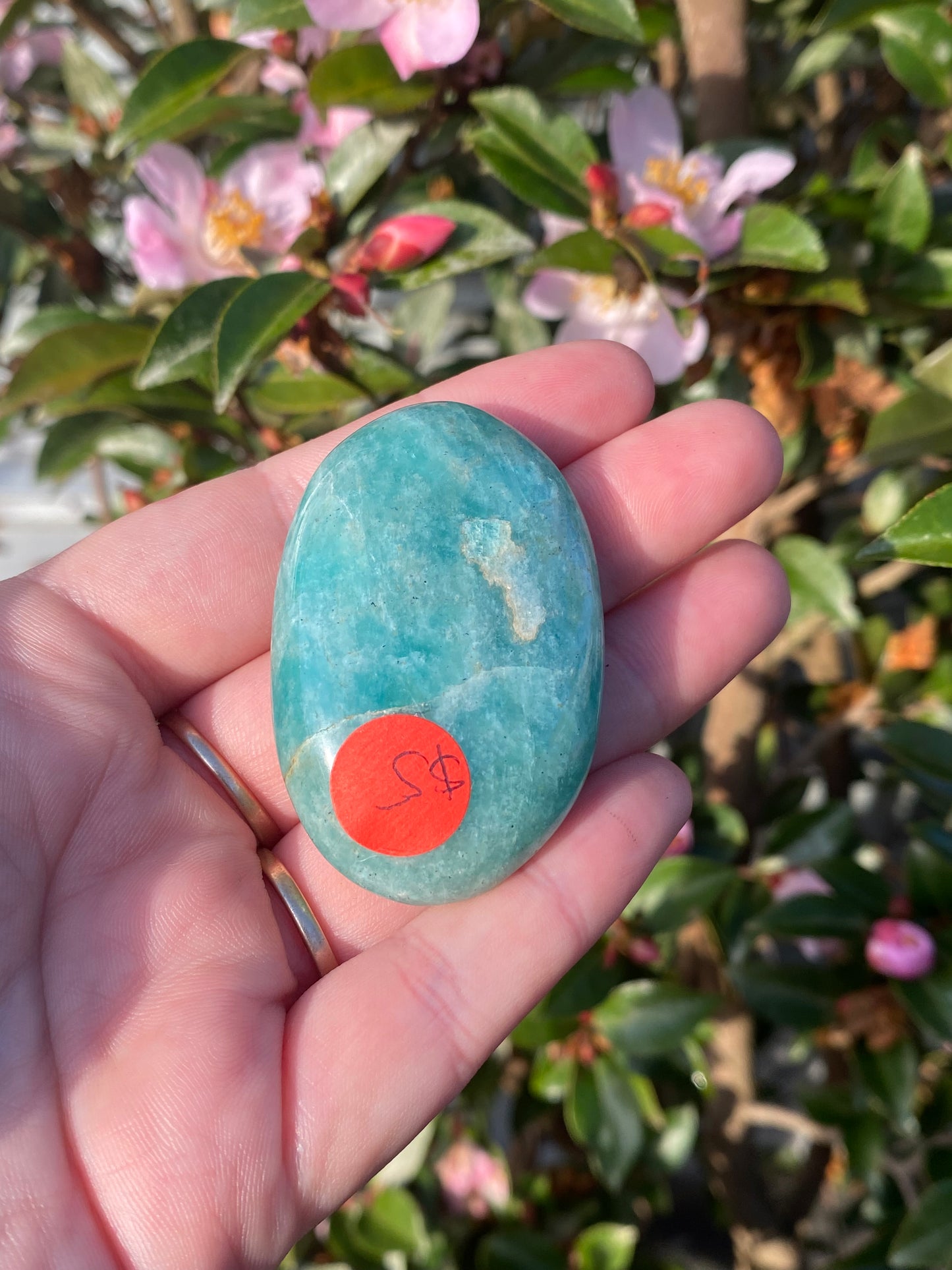 Amazonite Palm Stone - 48g