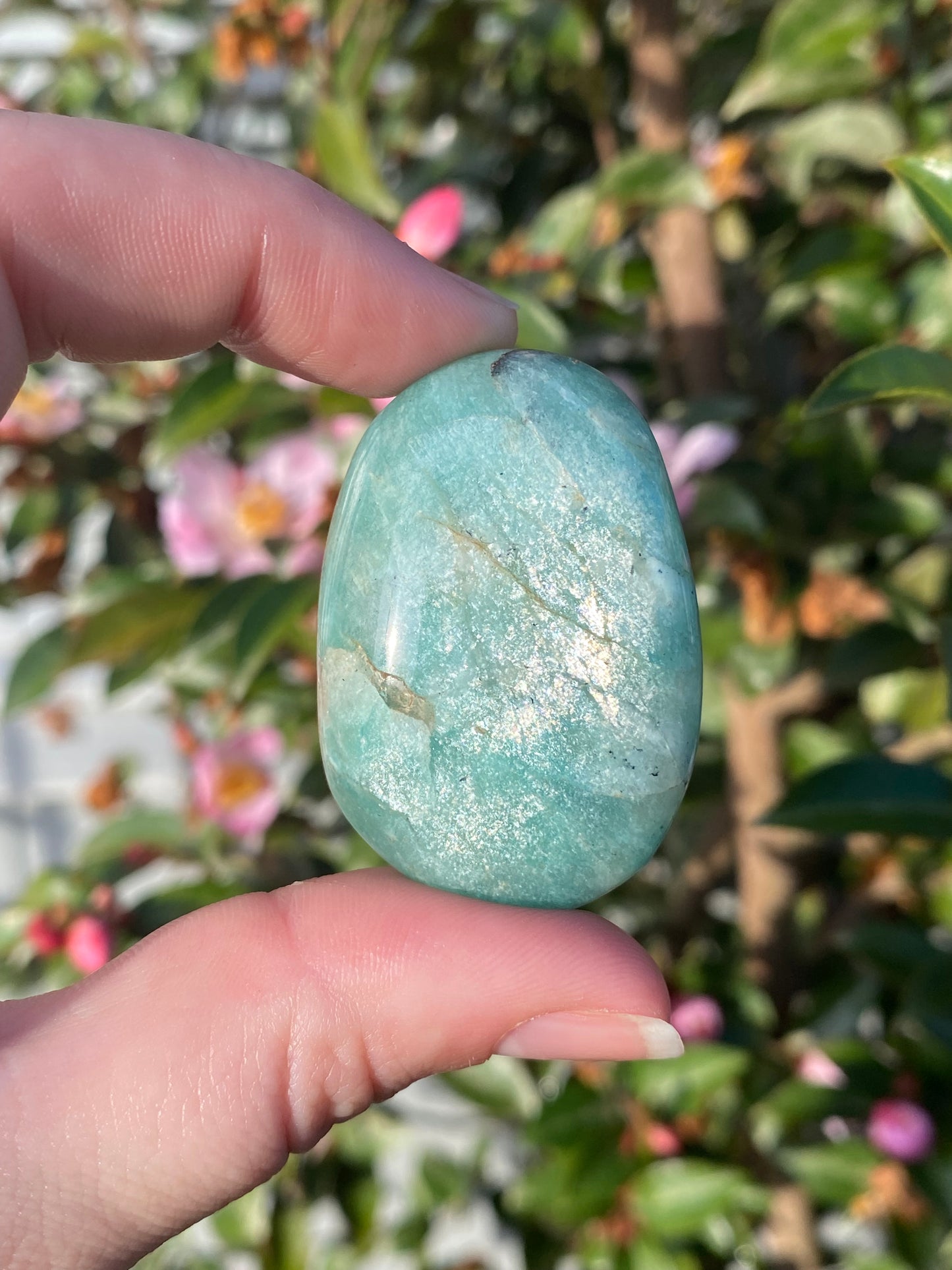 Amazonite Palm Stone - 50g