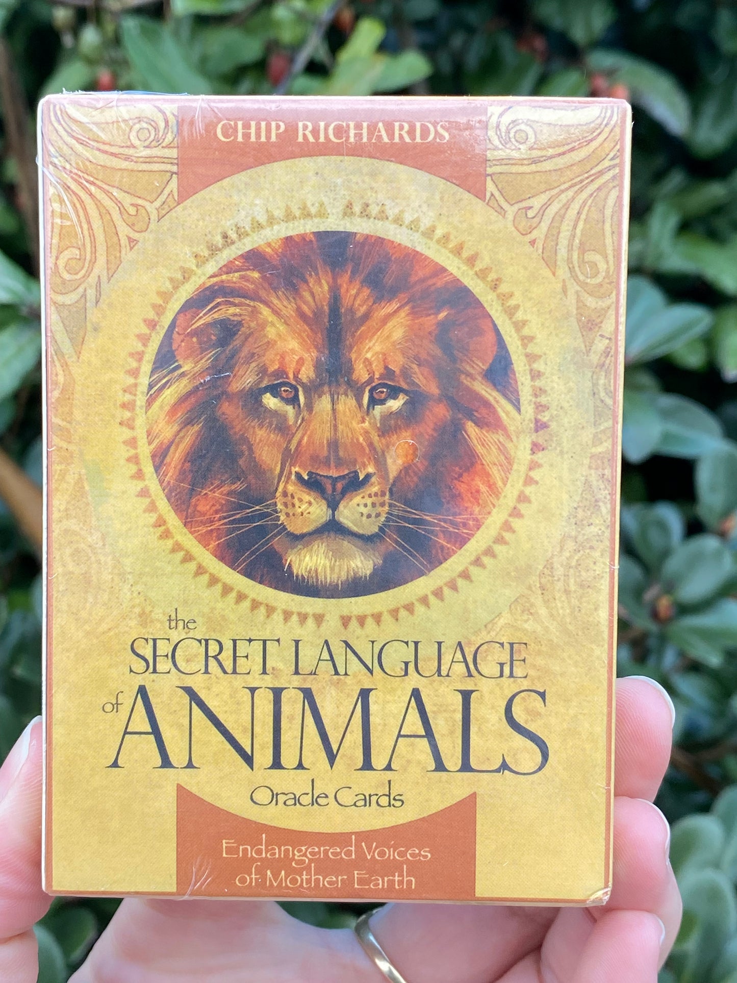 The Secret Language of Animals Oracle