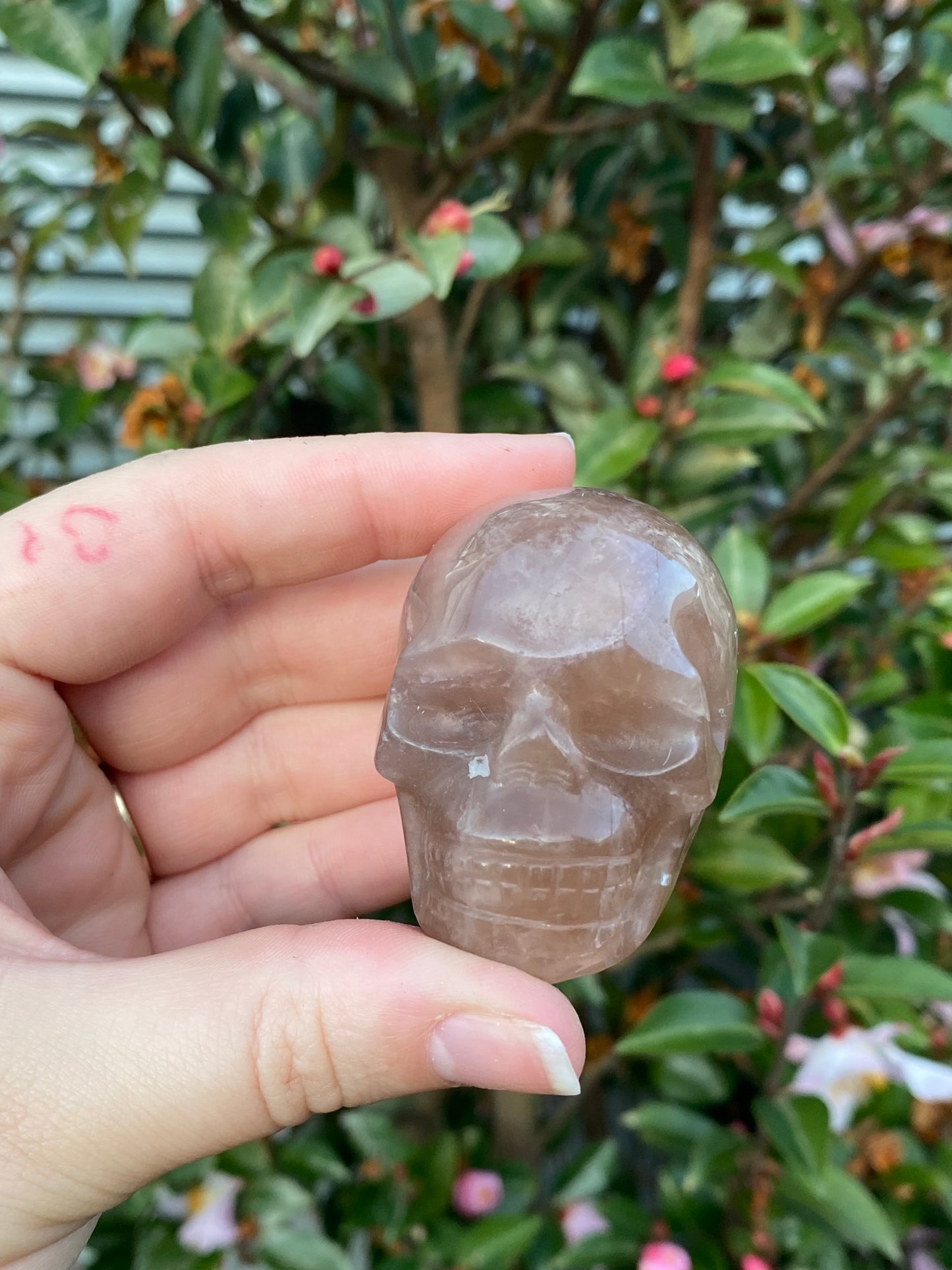 Fluorite Skull