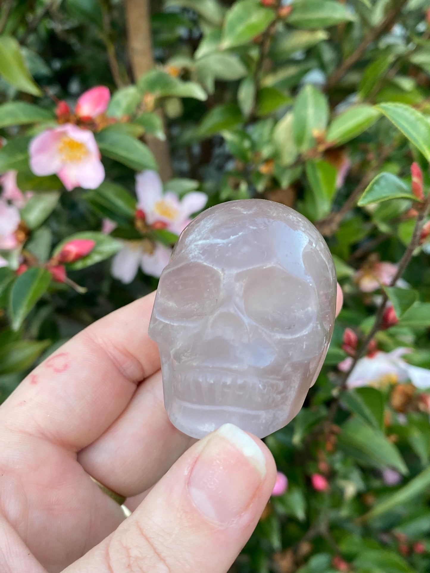 Fluorite Skull