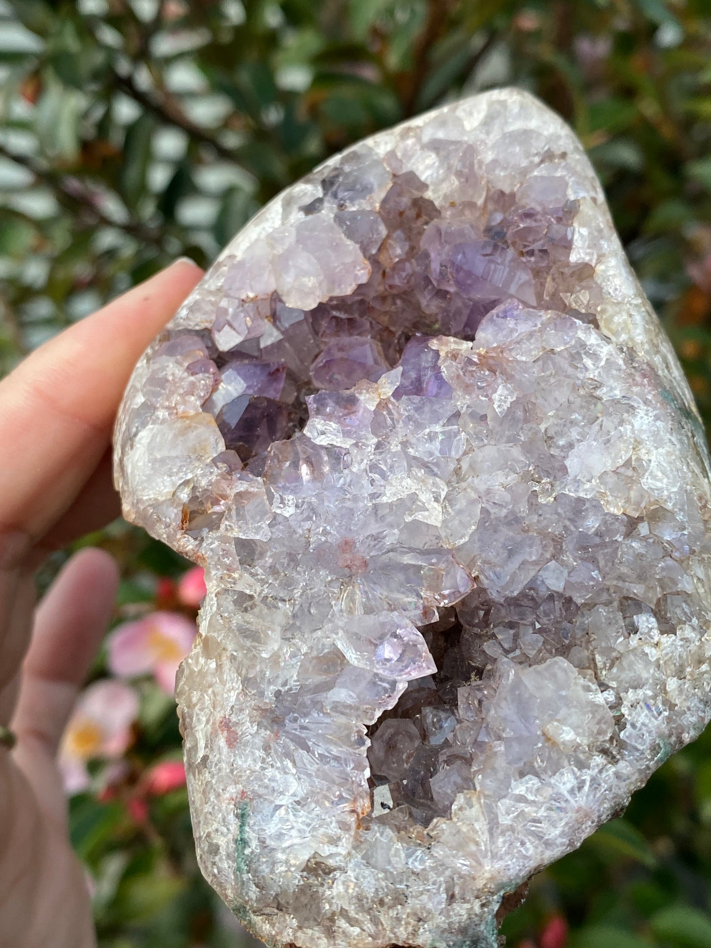 Pink Amethyst Cluster in Base