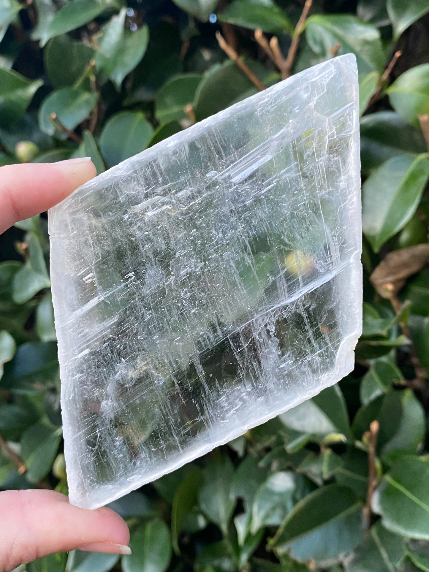 CLEARANCE - Natural Selenite Window