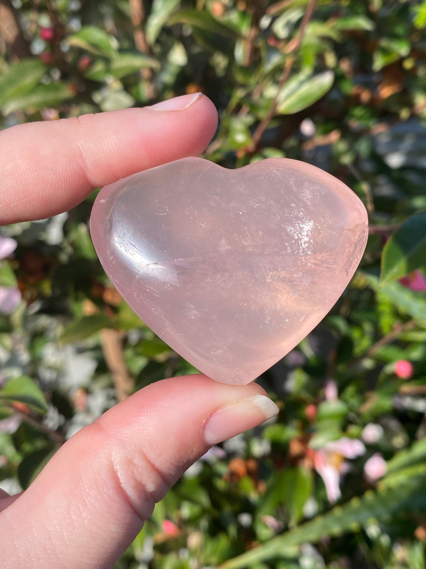 Rose Quartz Heart -55g