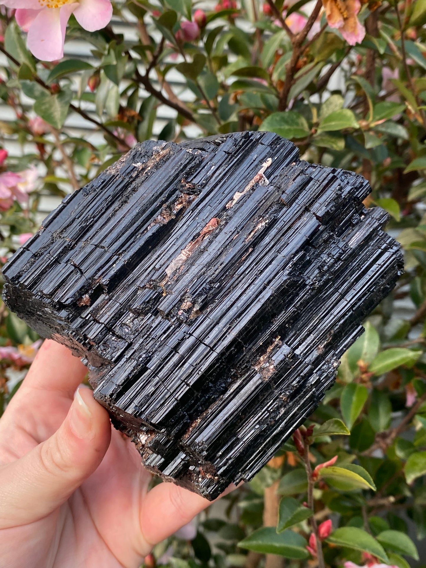 Black Tourmaline with Gold Mica - 1.389kg