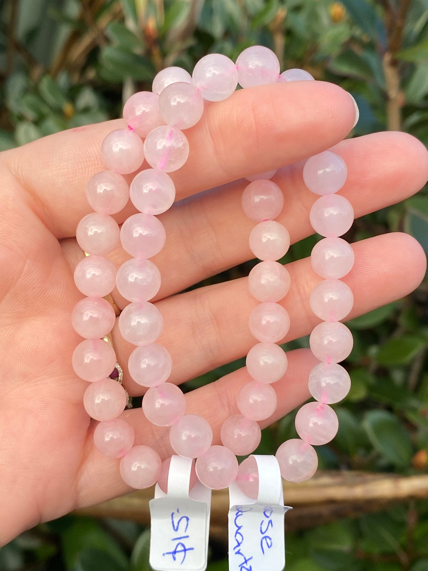 Rose Quartz 8mm Bracelet