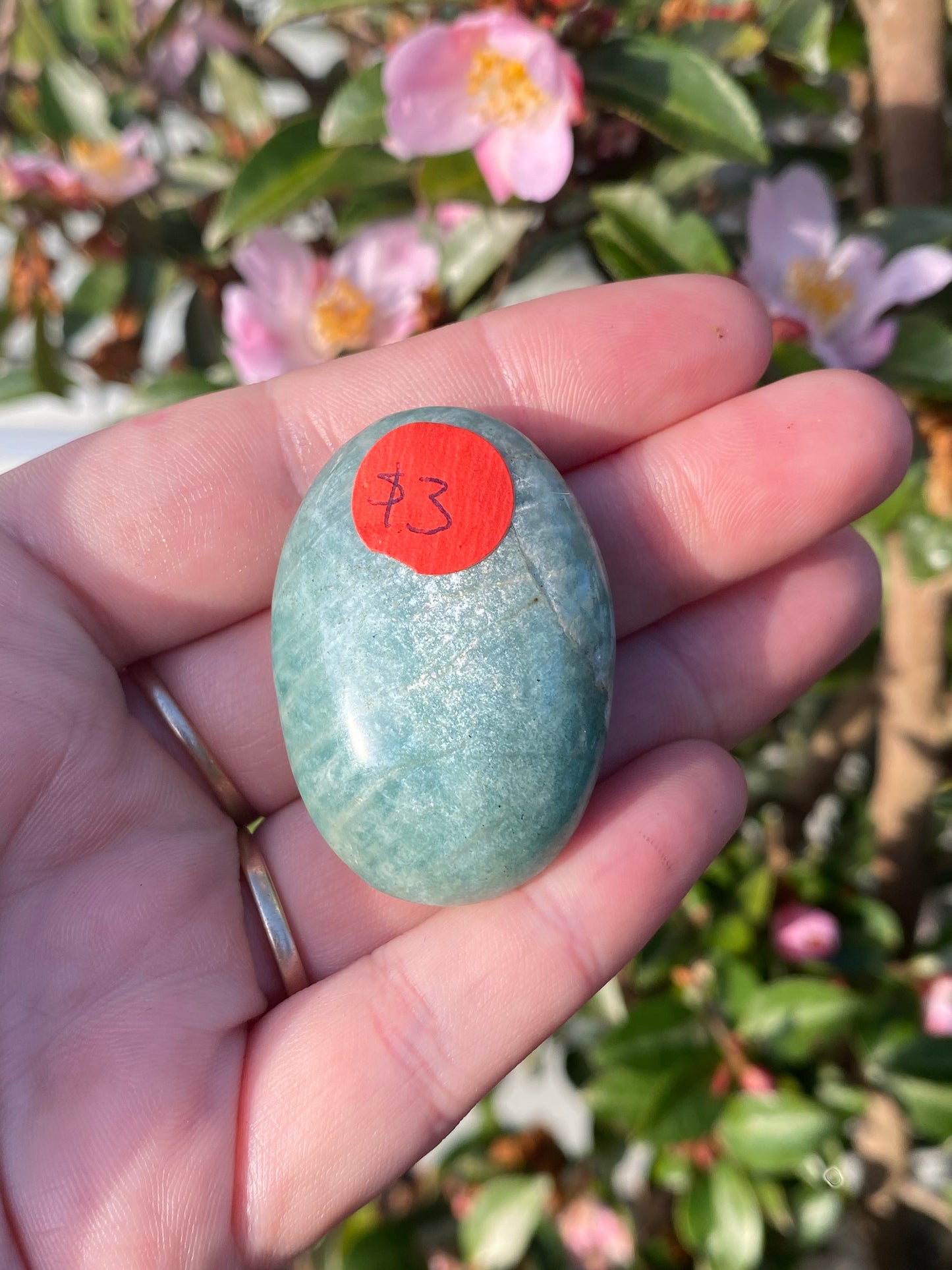 Amazonite Palm Stone - 33g