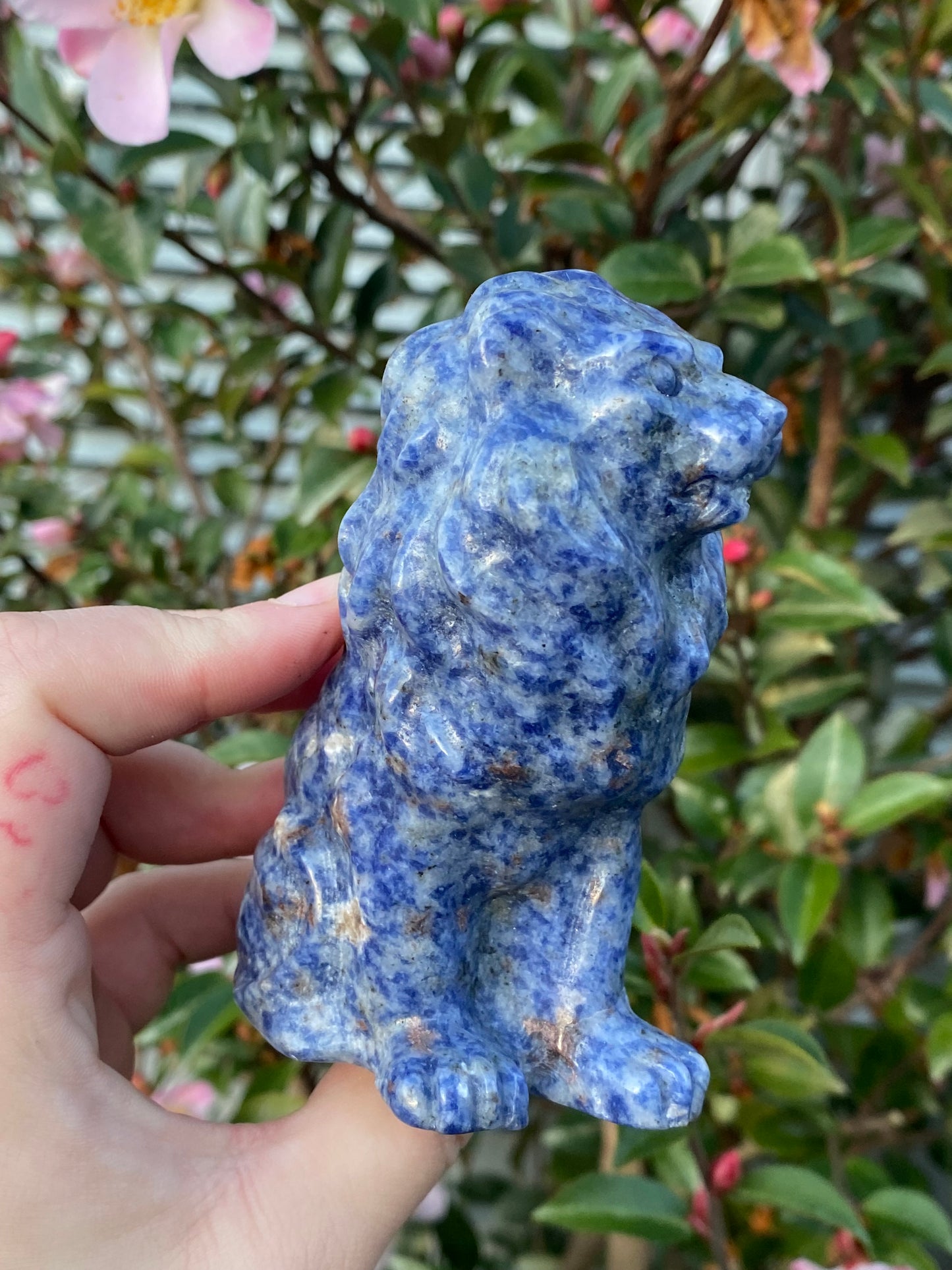 CLEARANCE - Blue Dot Jasper Lion