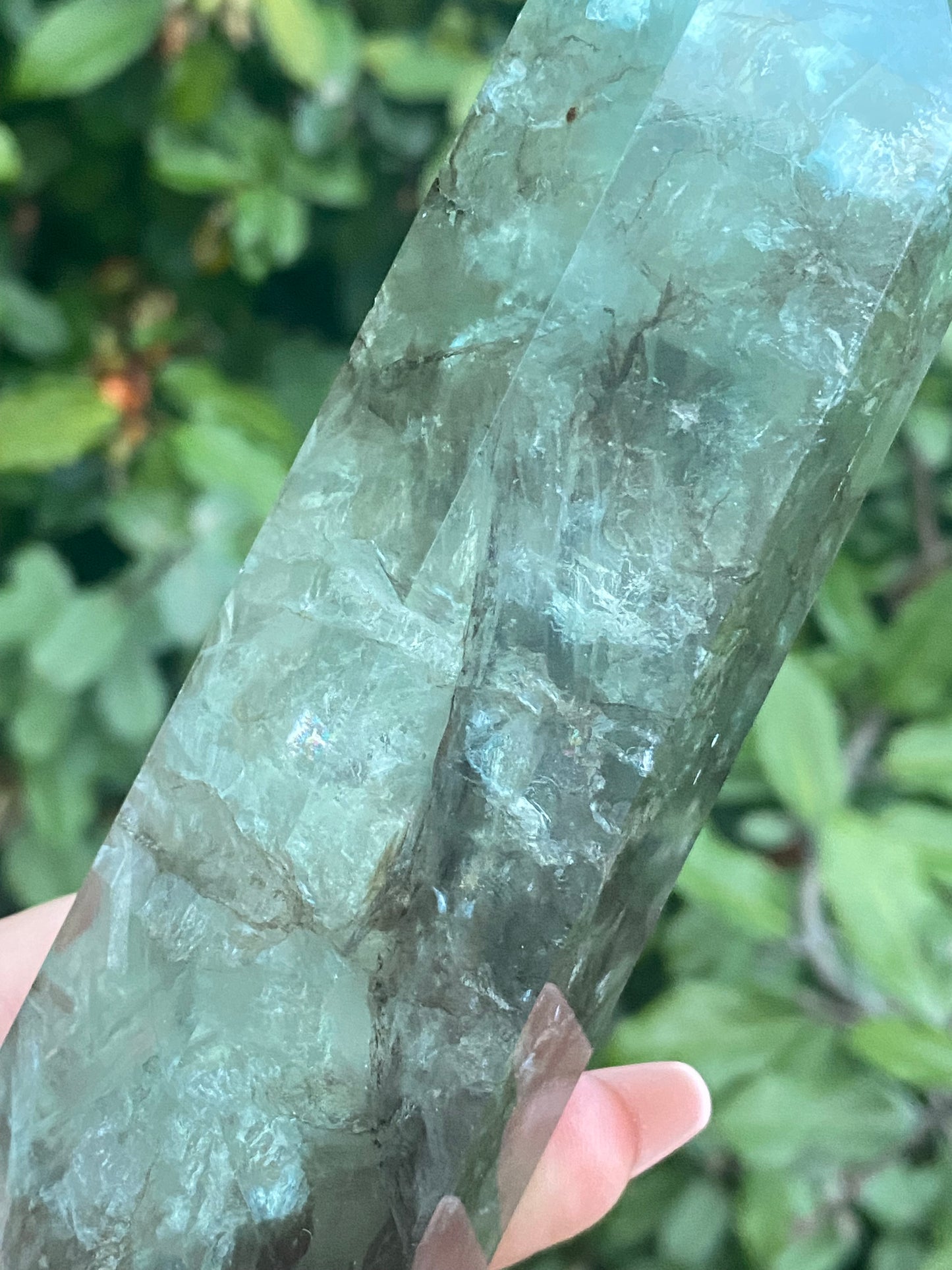 Kelp Fluorite Tower - 658g