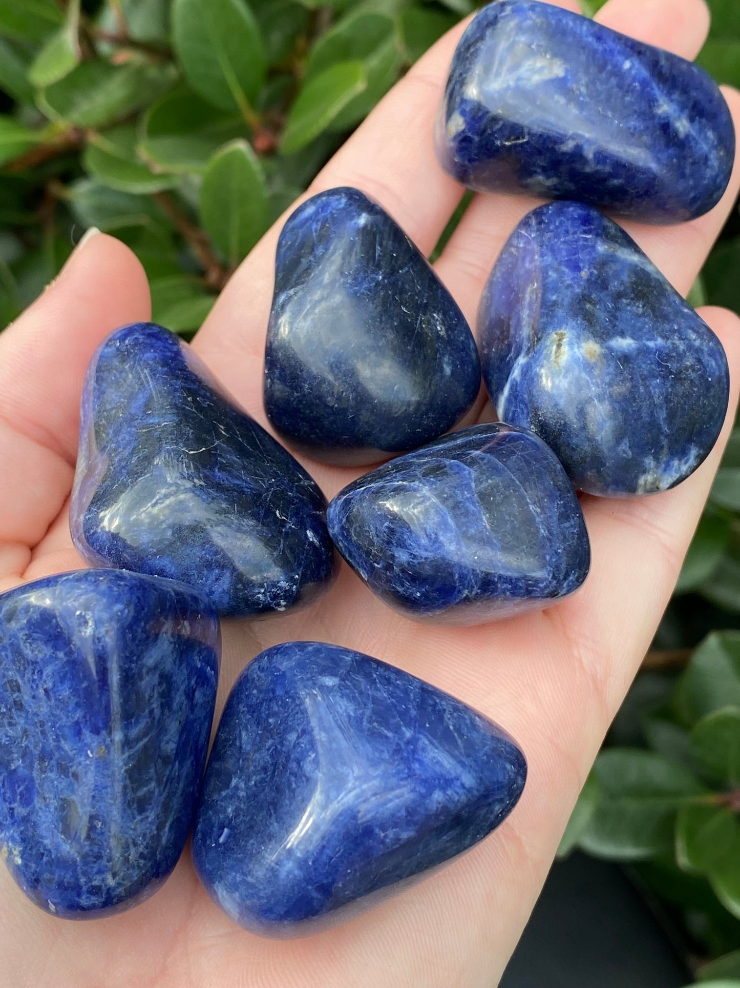 Sodalite Large Tumble - Each