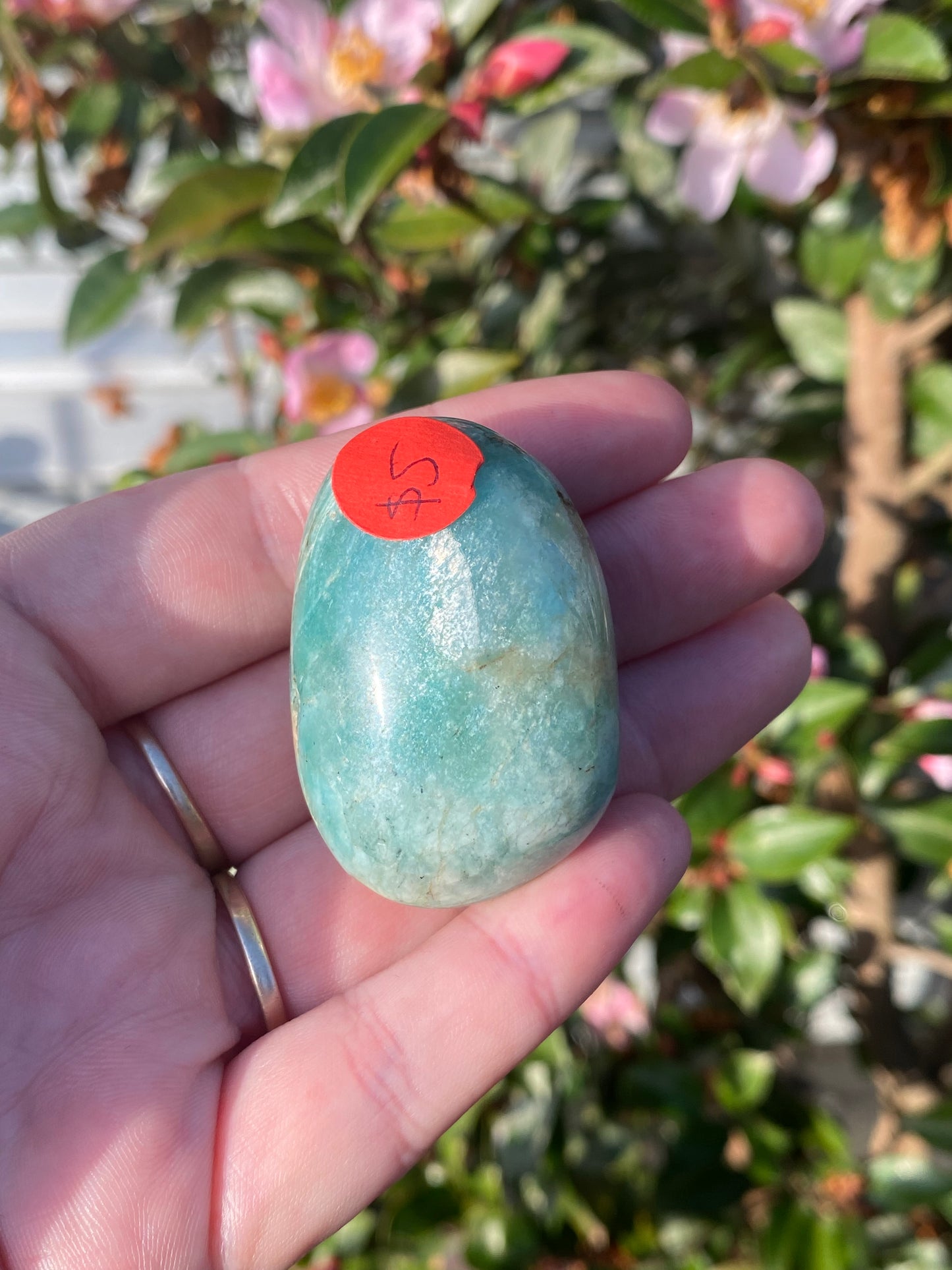 Amazonite Palm Stone - 50g