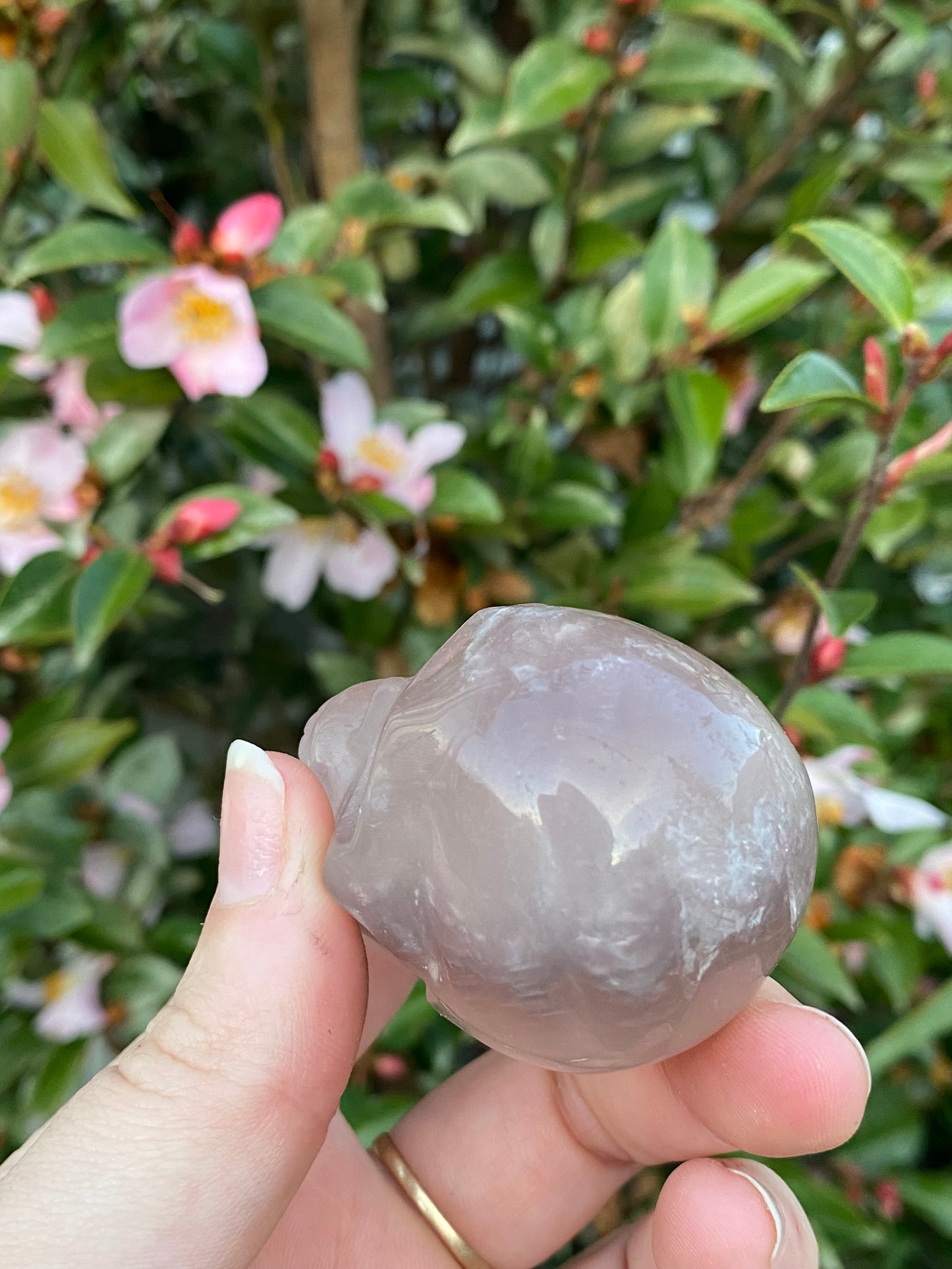 Fluorite Skull