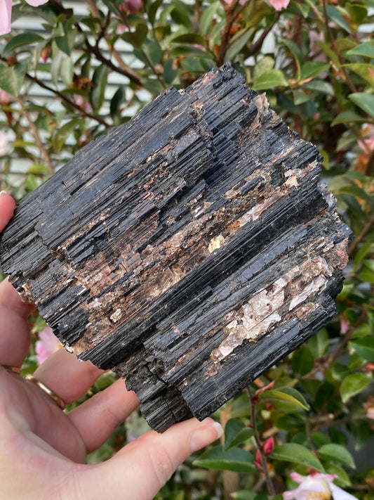 Black Tourmaline with Gold Mica - 1.389kg