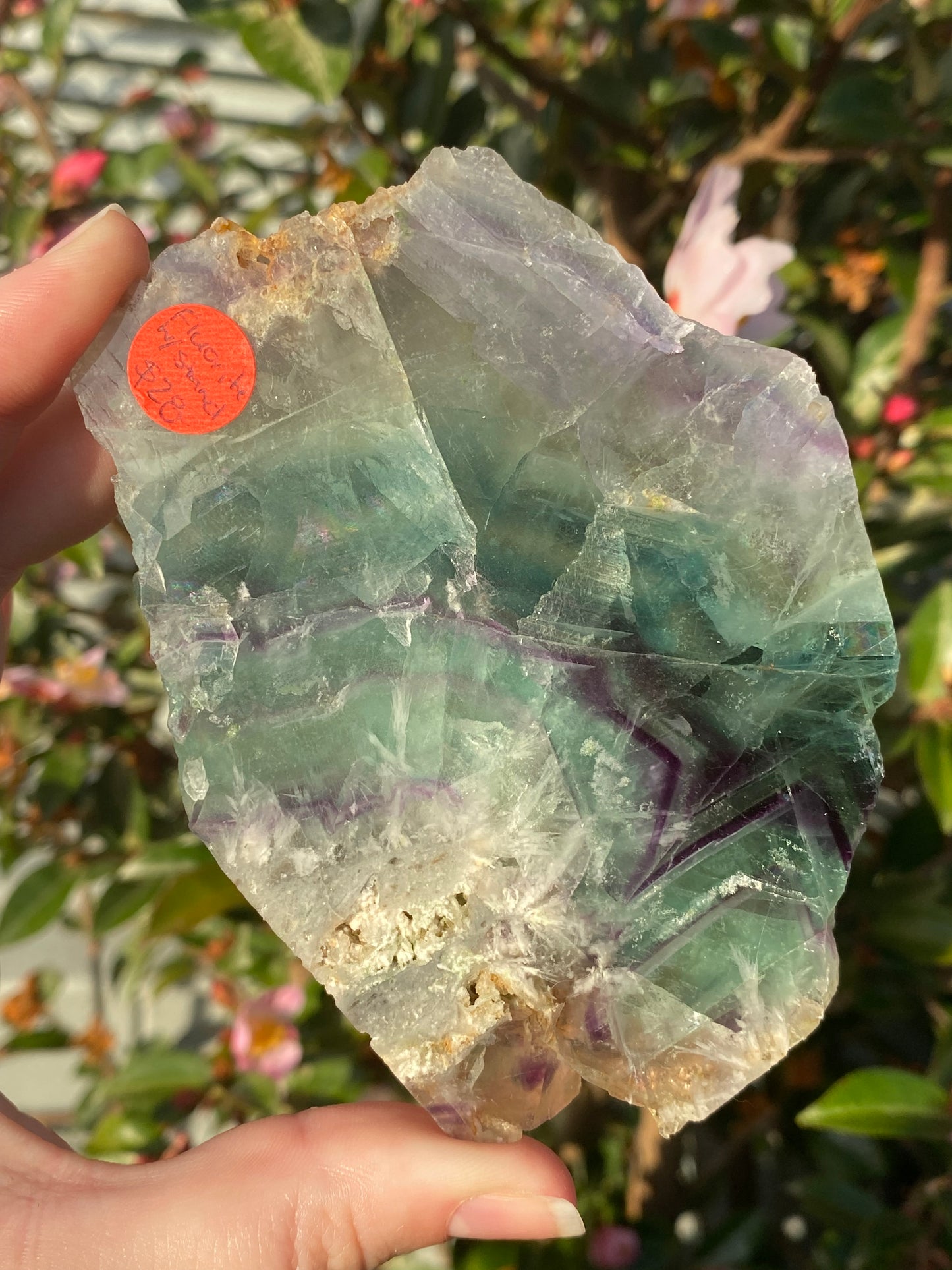 Fluorite Slab - 244g