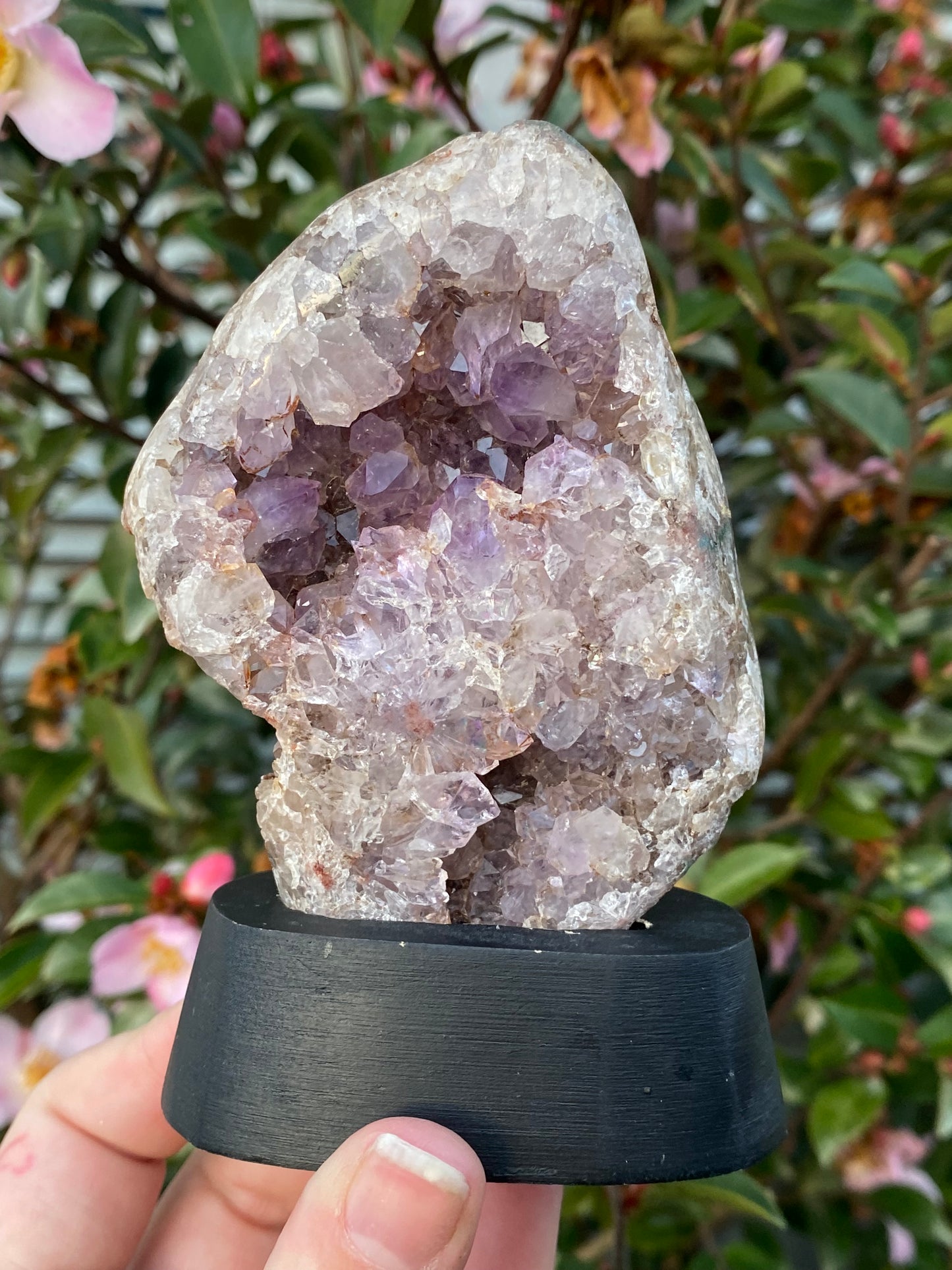 Pink Amethyst Cluster in Base