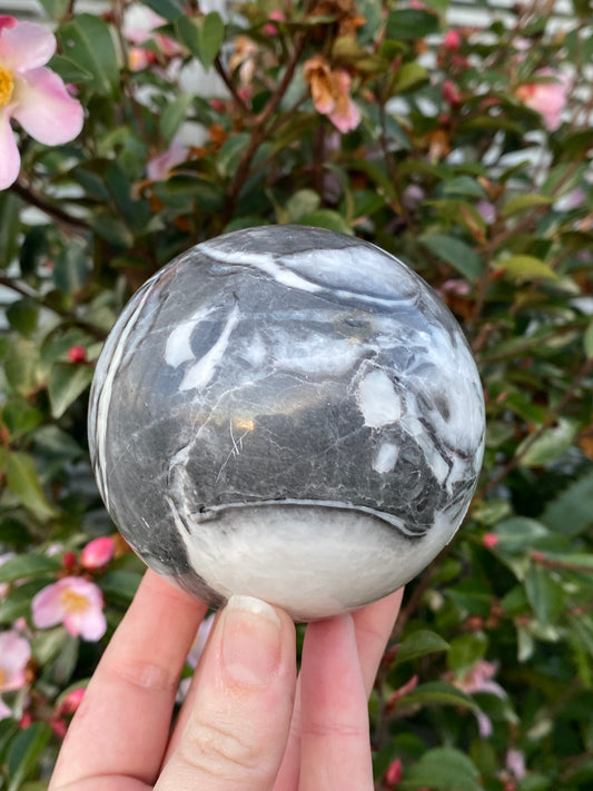 Shell Jasper Sphere 88mm