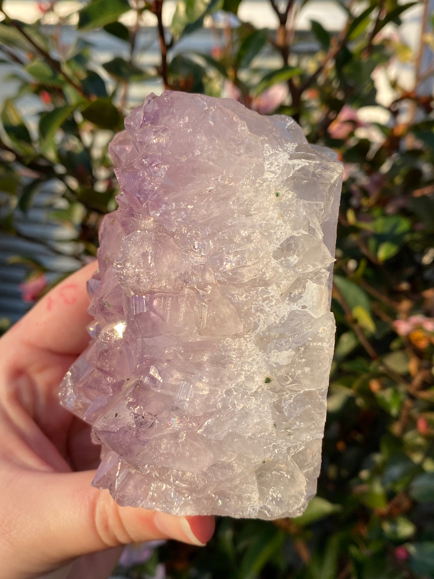 Amethyst Cut Base Cluster - 629g